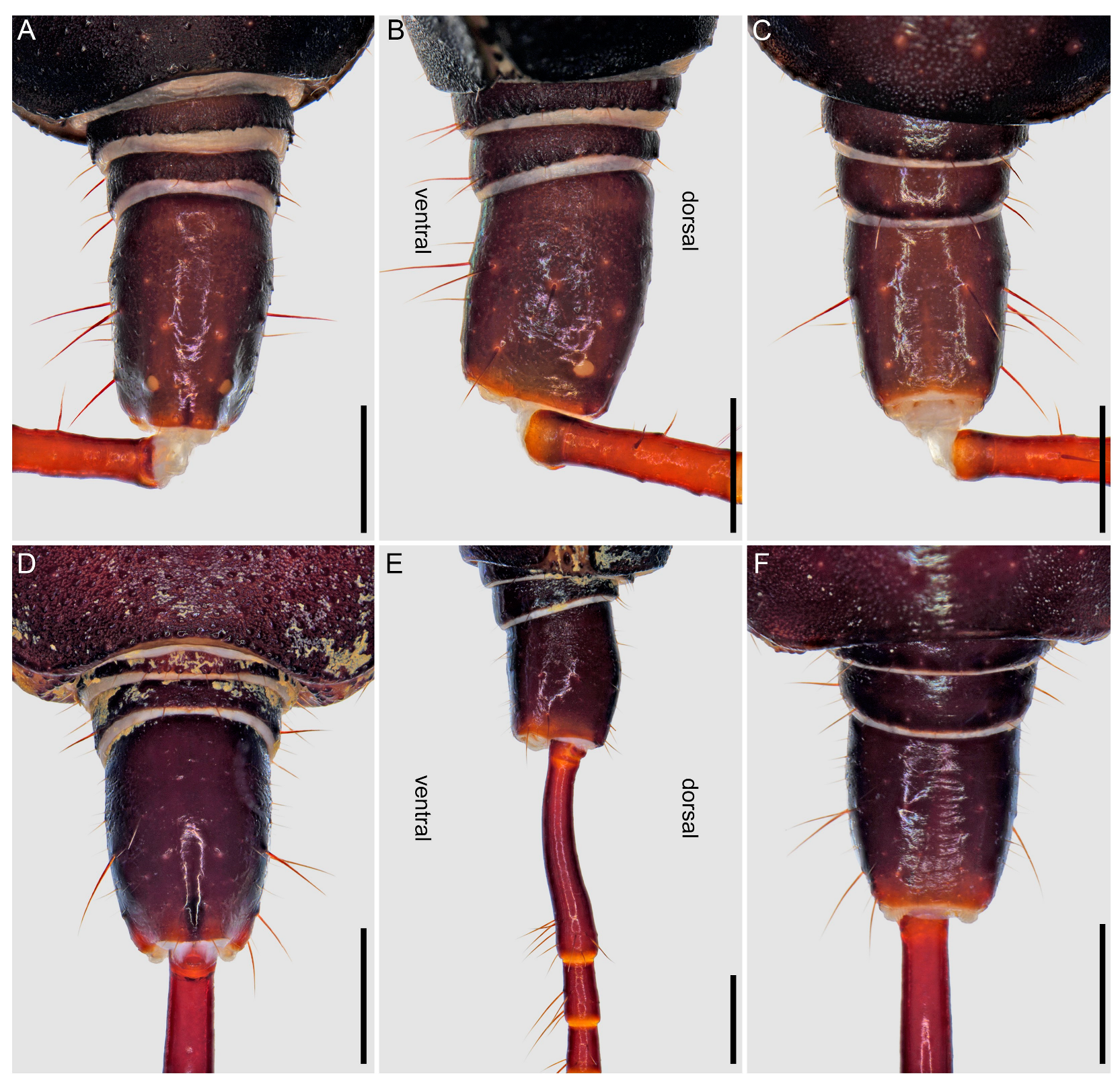 Insects 15 00761 g012