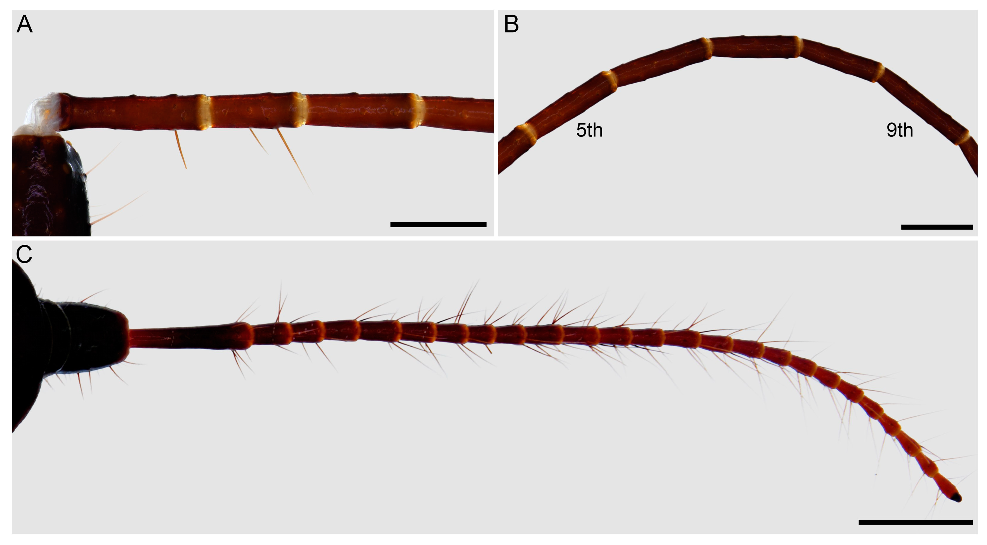 Insects 15 00761 g013