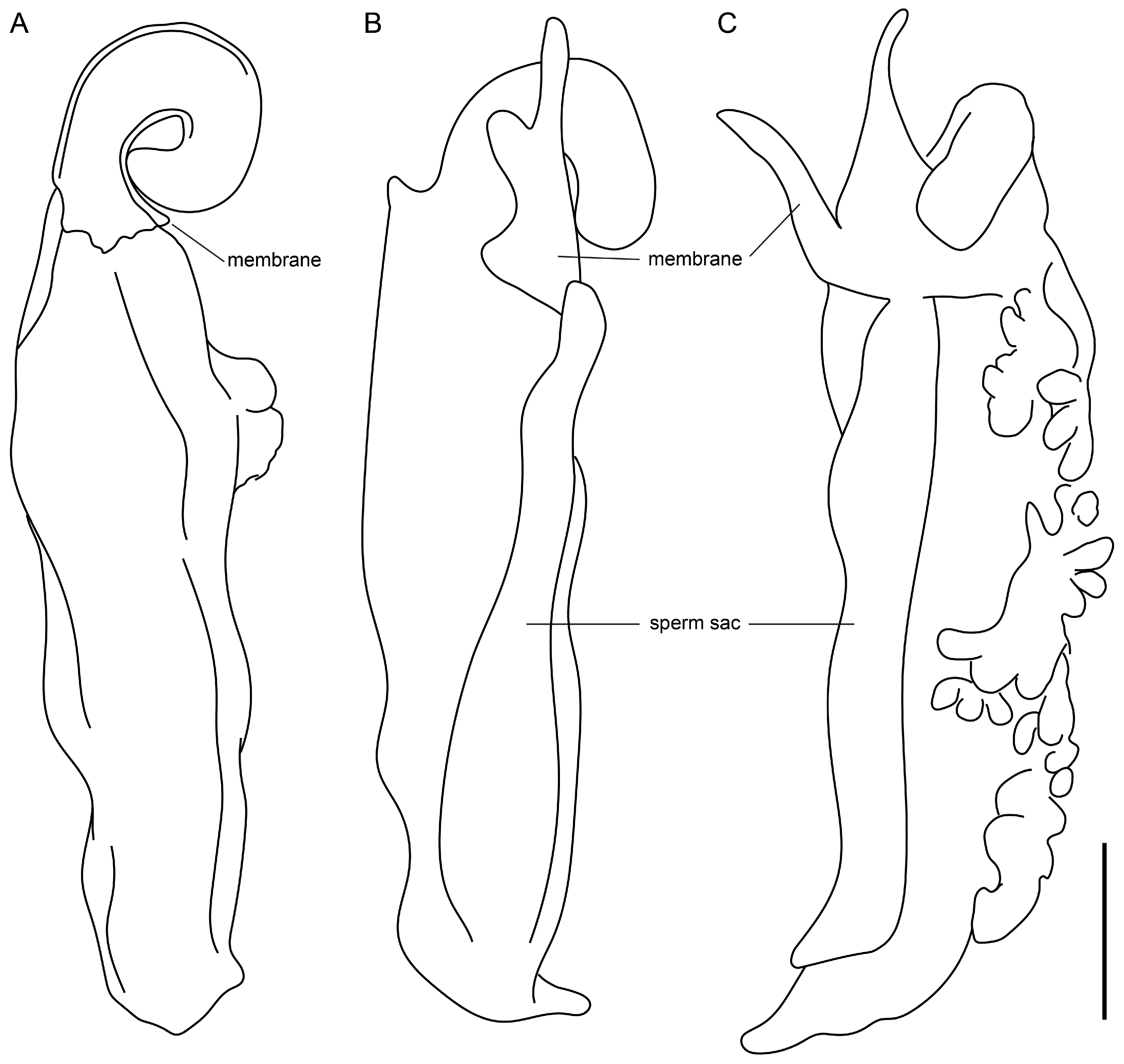 Insects 15 00761 g014