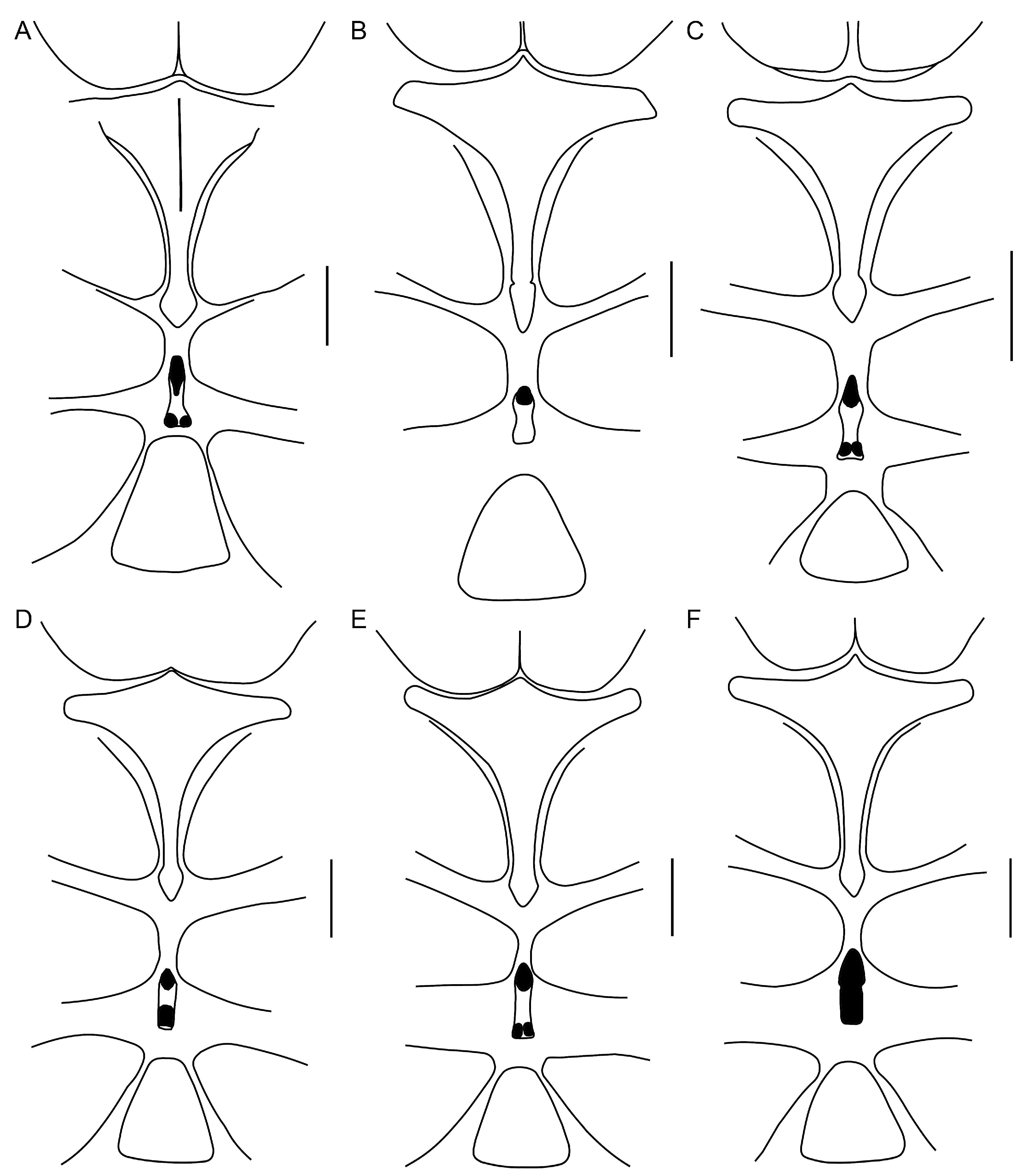 Insects 15 00761 g016