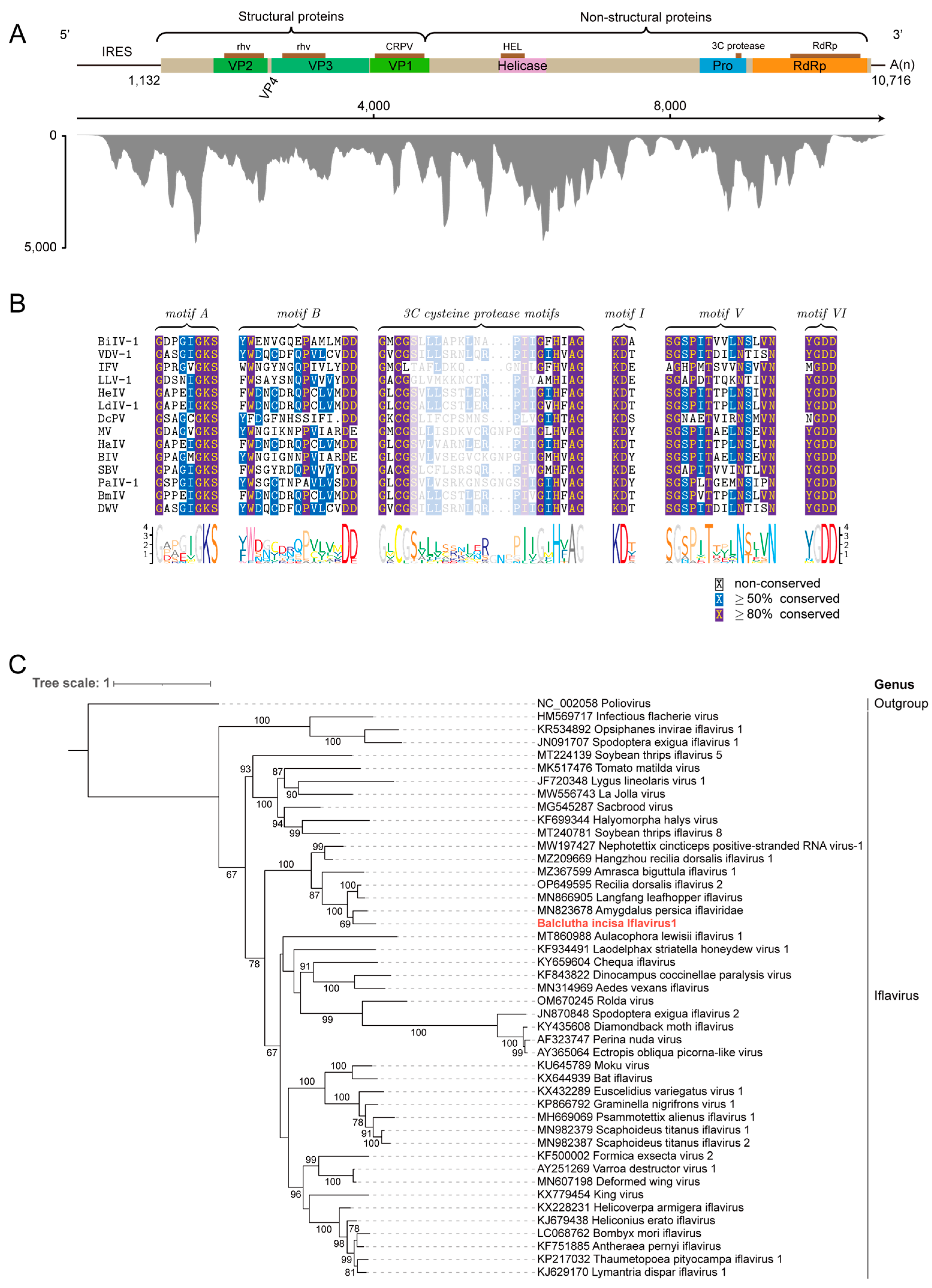 Insects 15 00772 g003