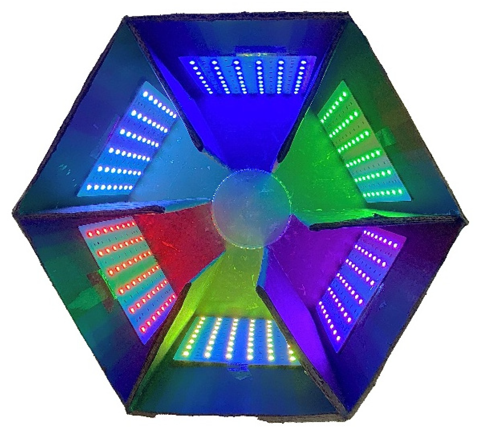 Insects 15 00780 g001 Insects 15 00780 g001