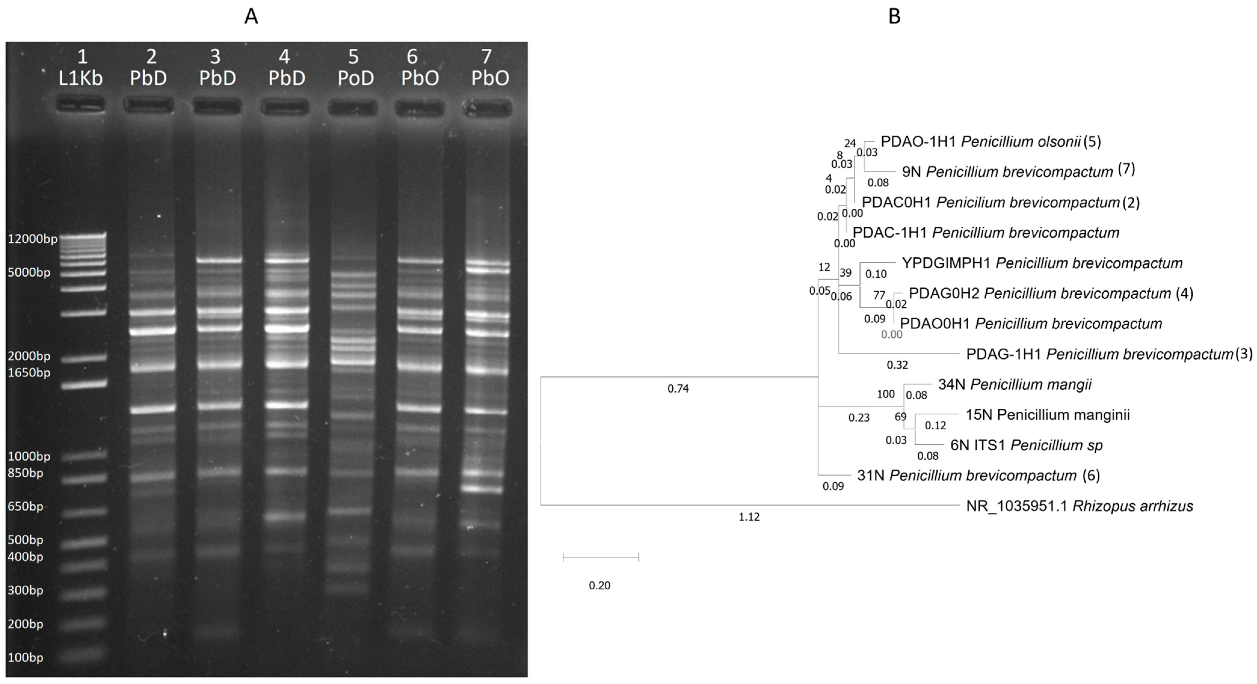 Insects 15 00783 g003
