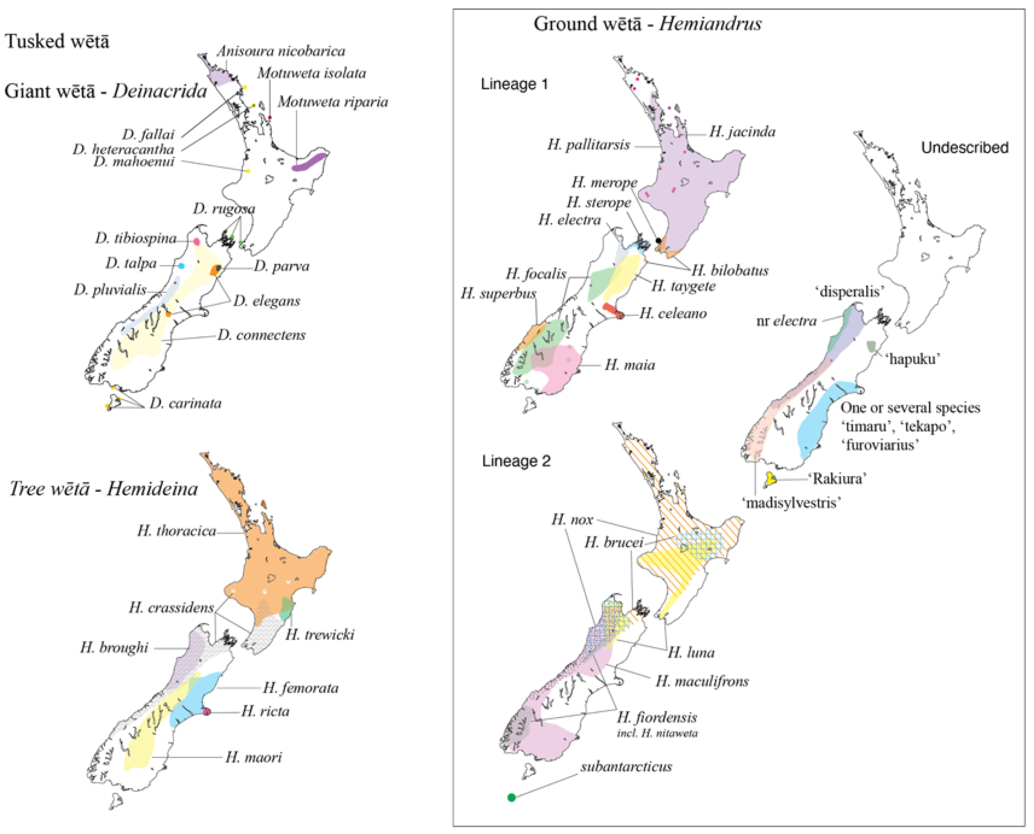 Insects 15 00787 g001 Insects 15 00787 g001