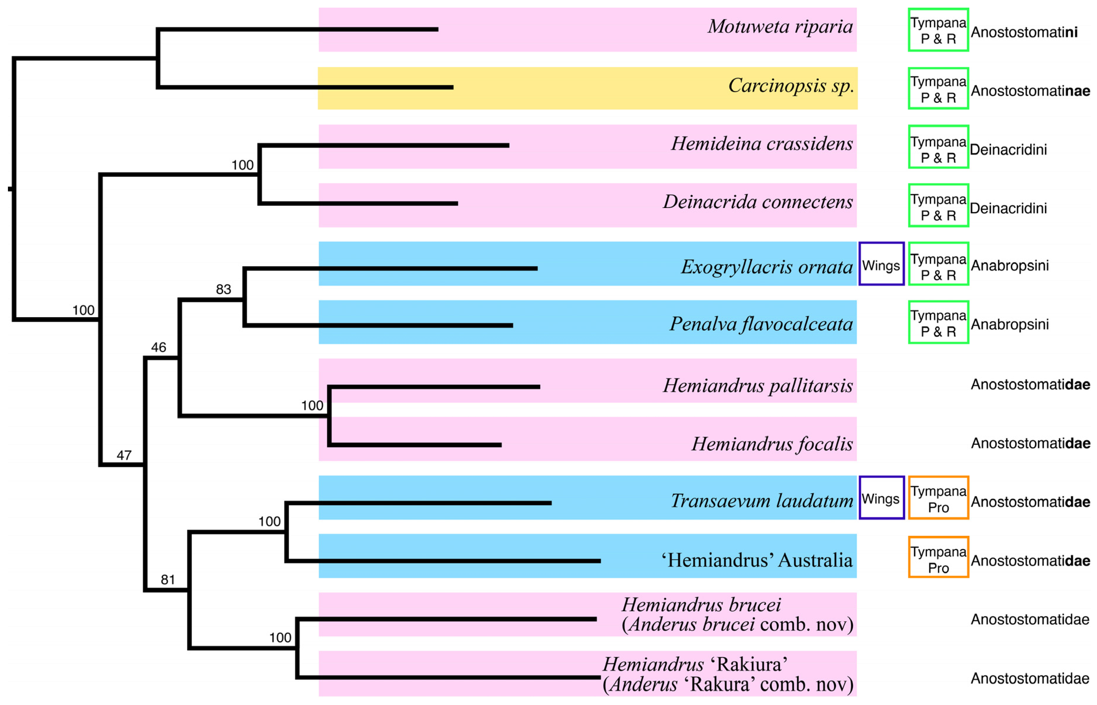 Insects 15 00787 g003 Insects 15 00787 g003