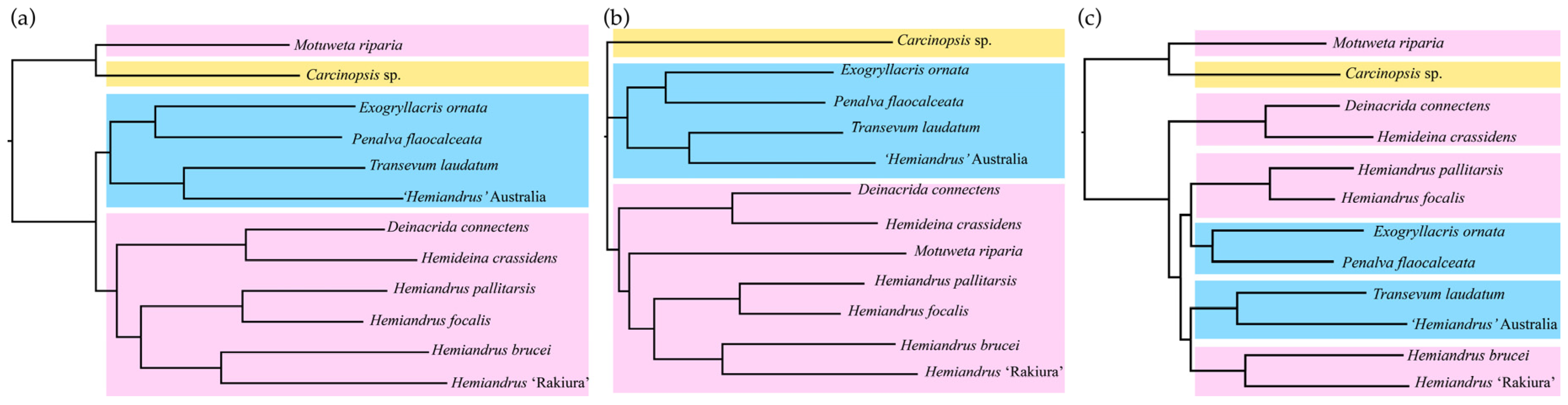 Insects 15 00787 g004 Insects 15 00787 g004