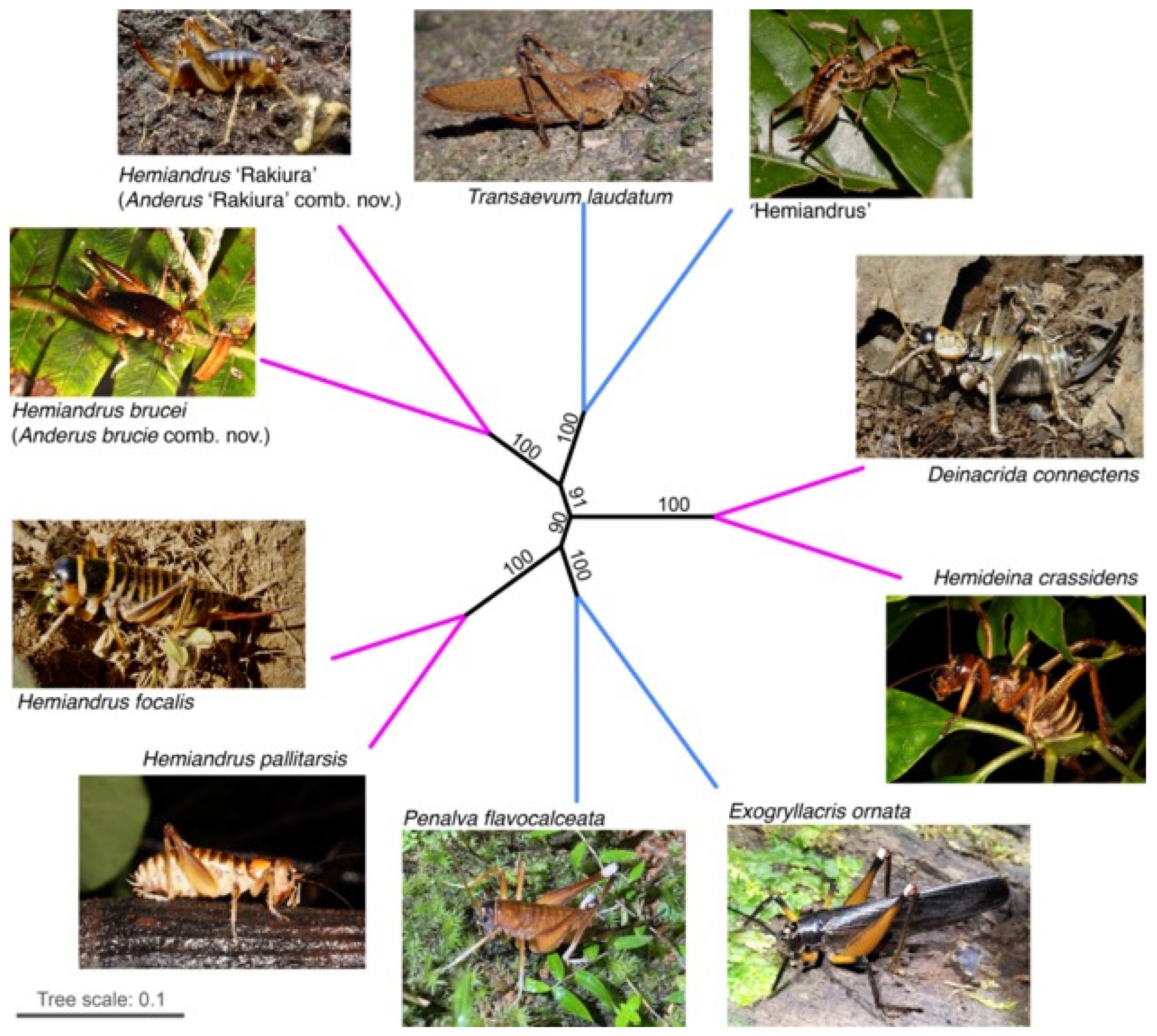 Insects 15 00787 g005 Insects 15 00787 g005