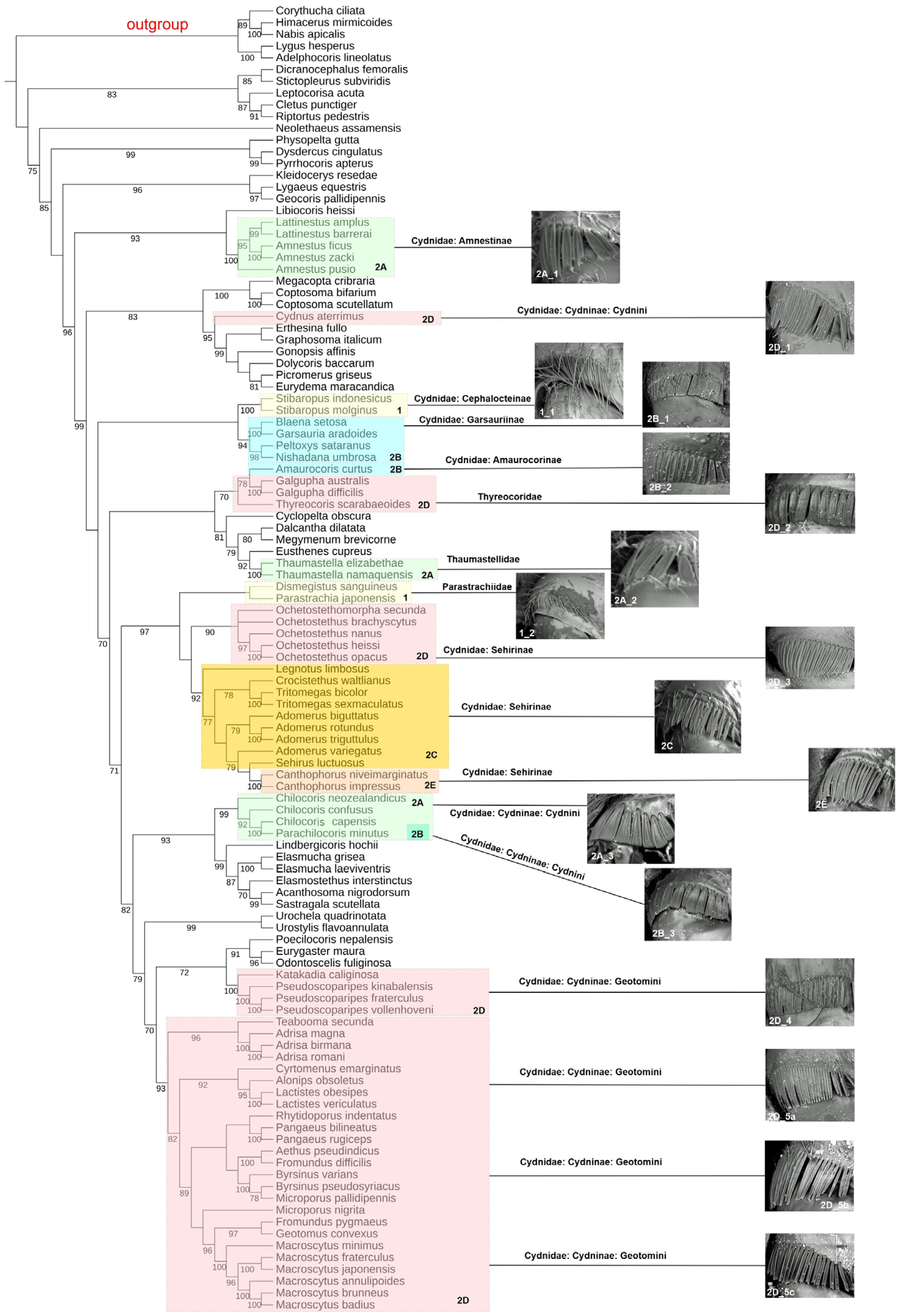 Insects 15 00792 g002 Insects 15 00792 g002