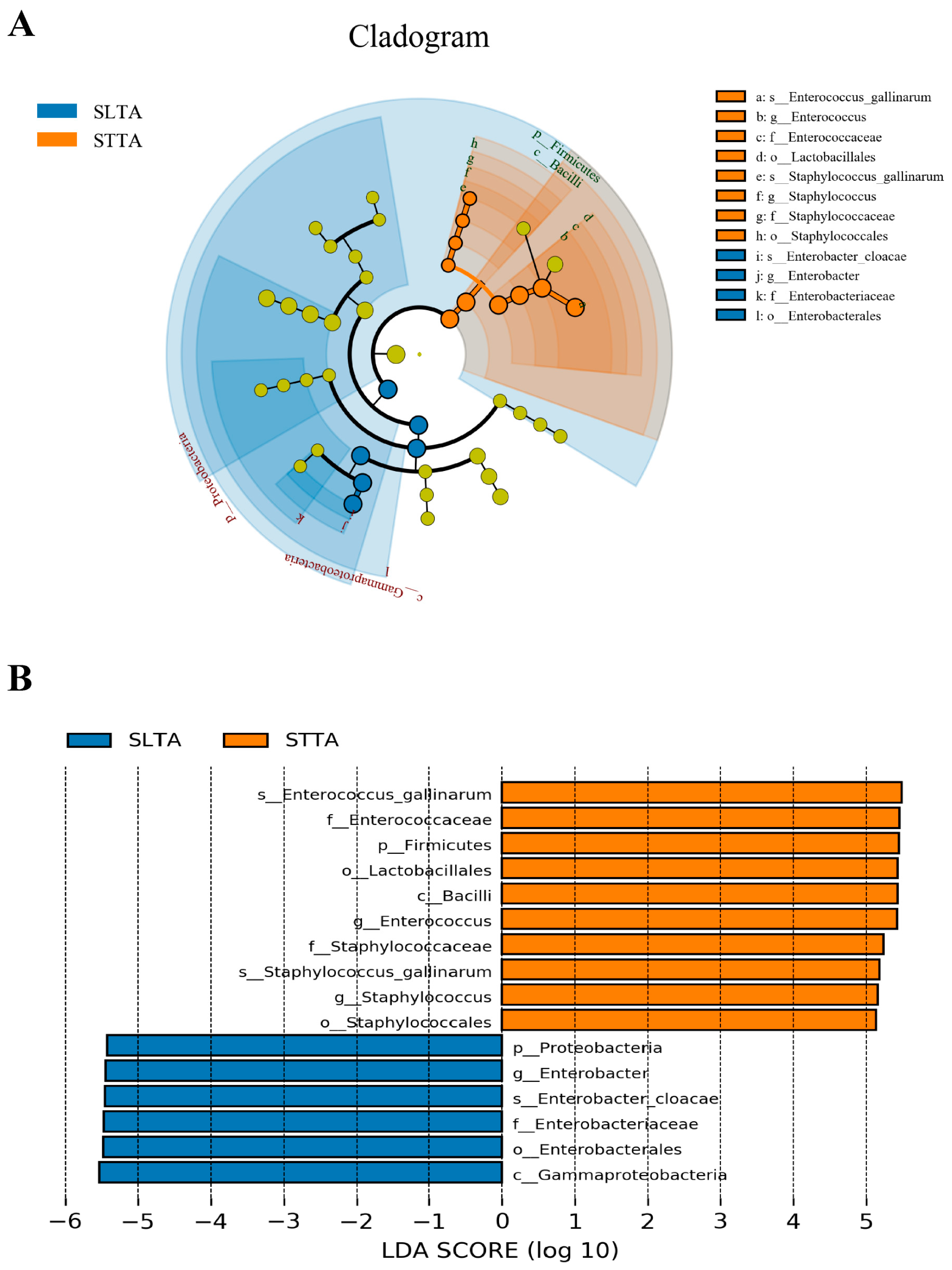 Insects 15 00795 g004