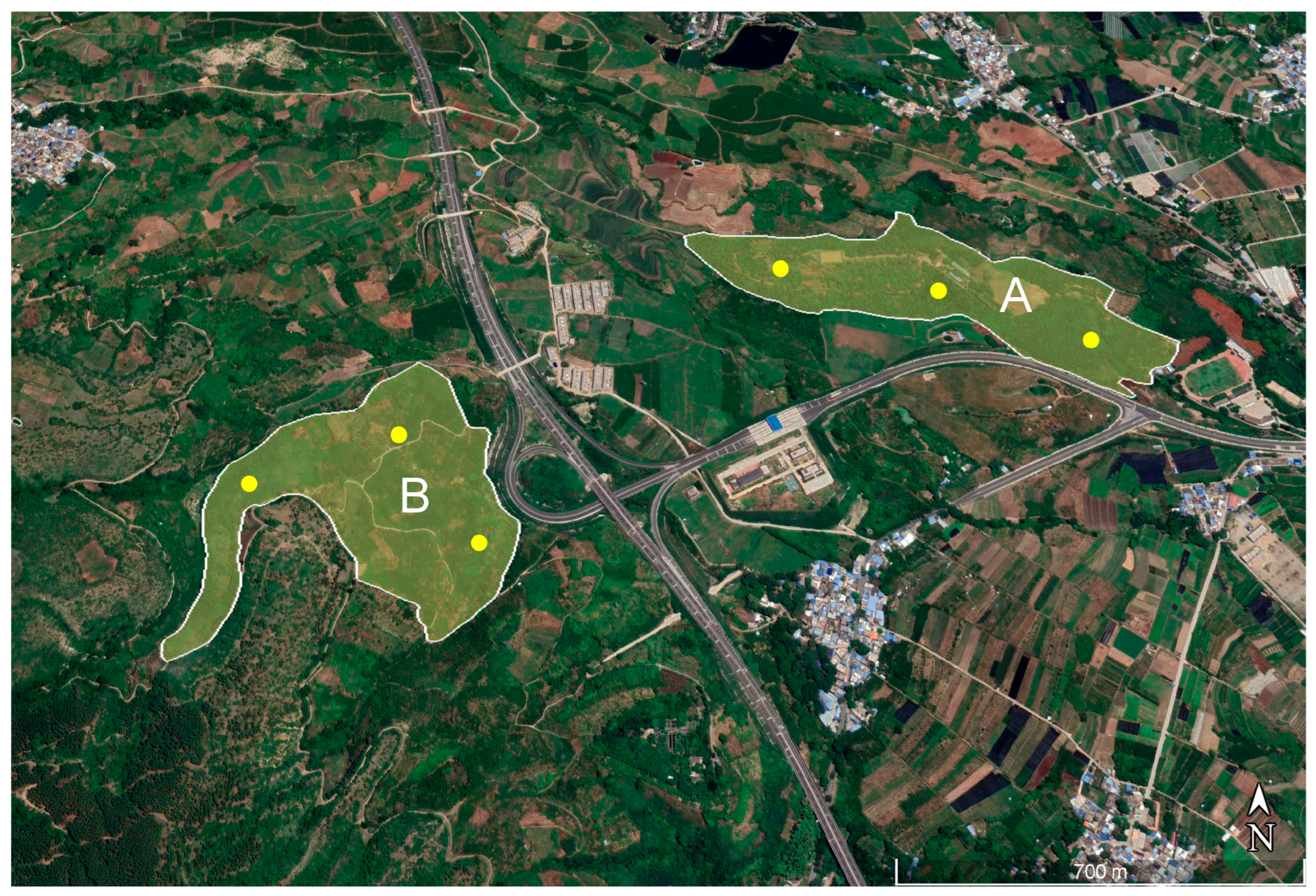 Insects 15 00796 g002