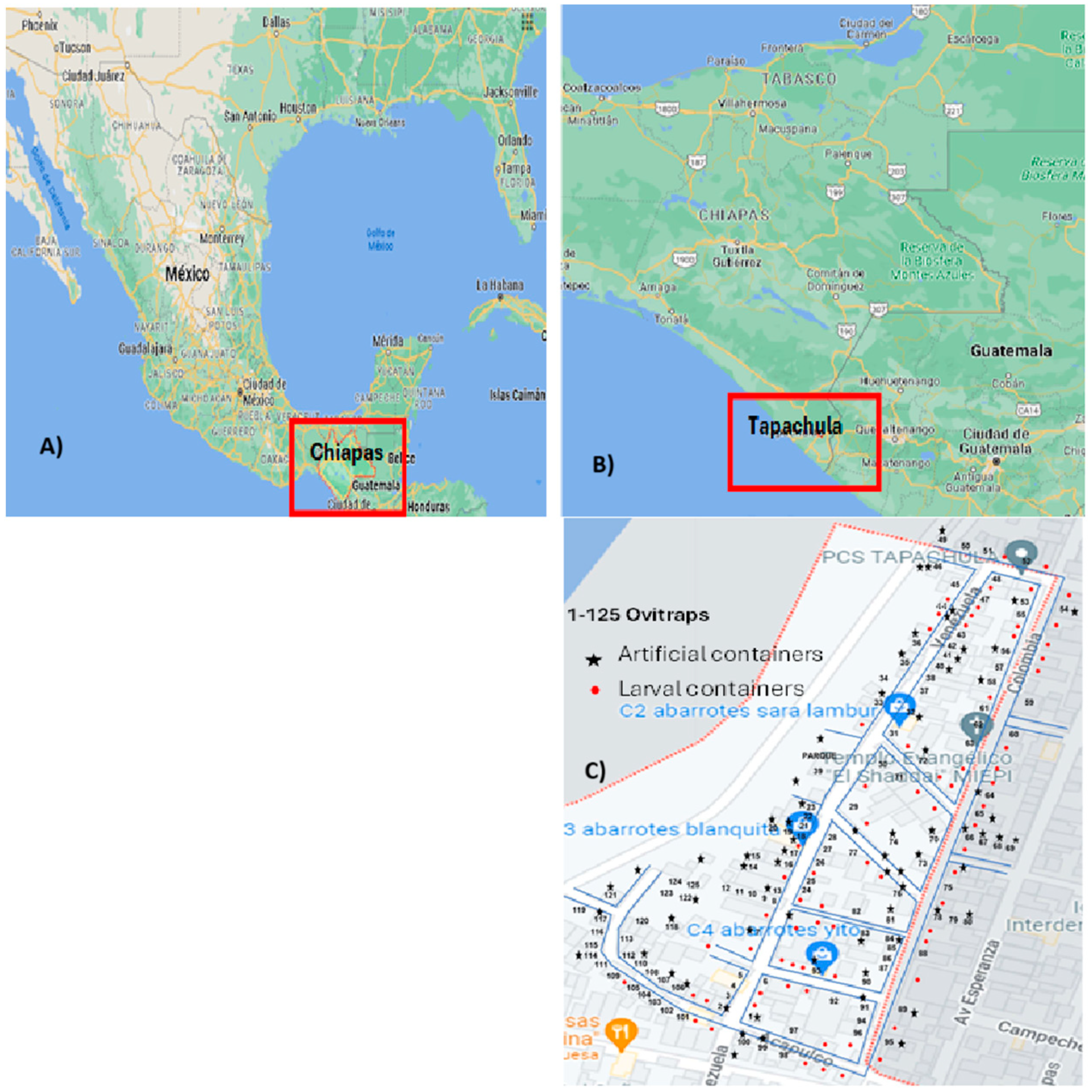 Insects 15 00798 g001