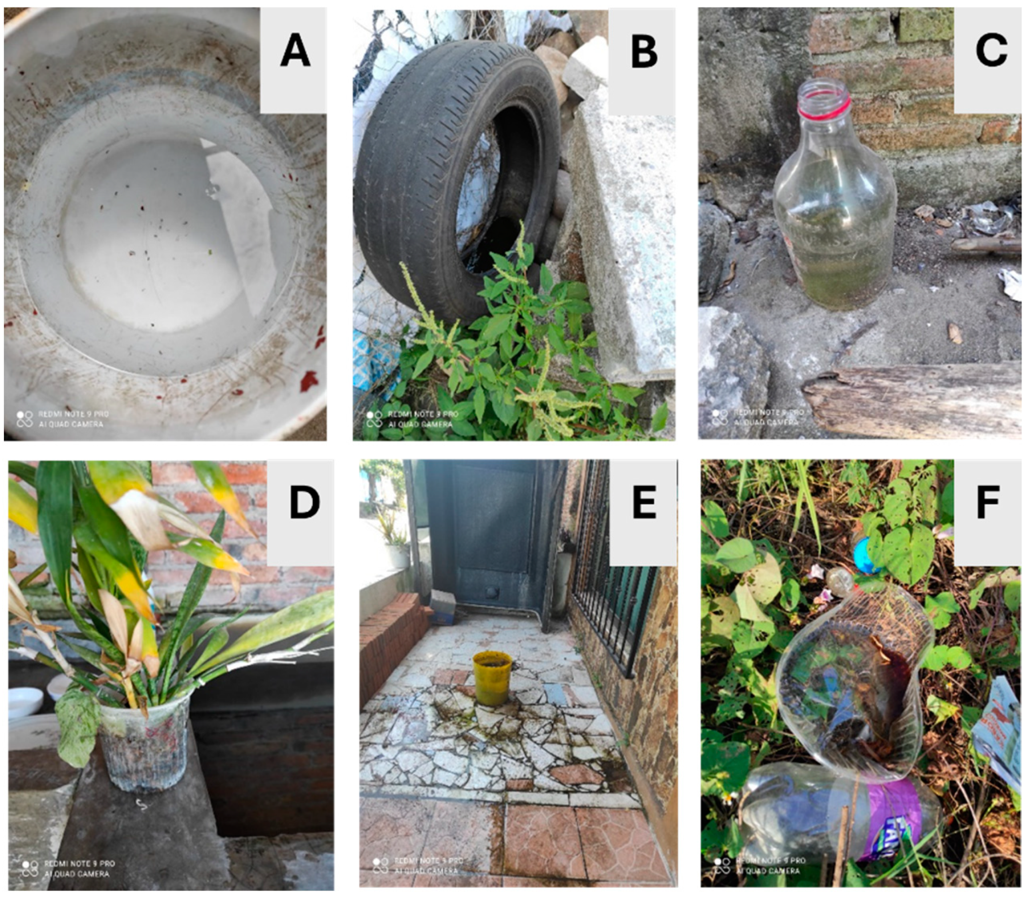 Insects 15 00798 g003