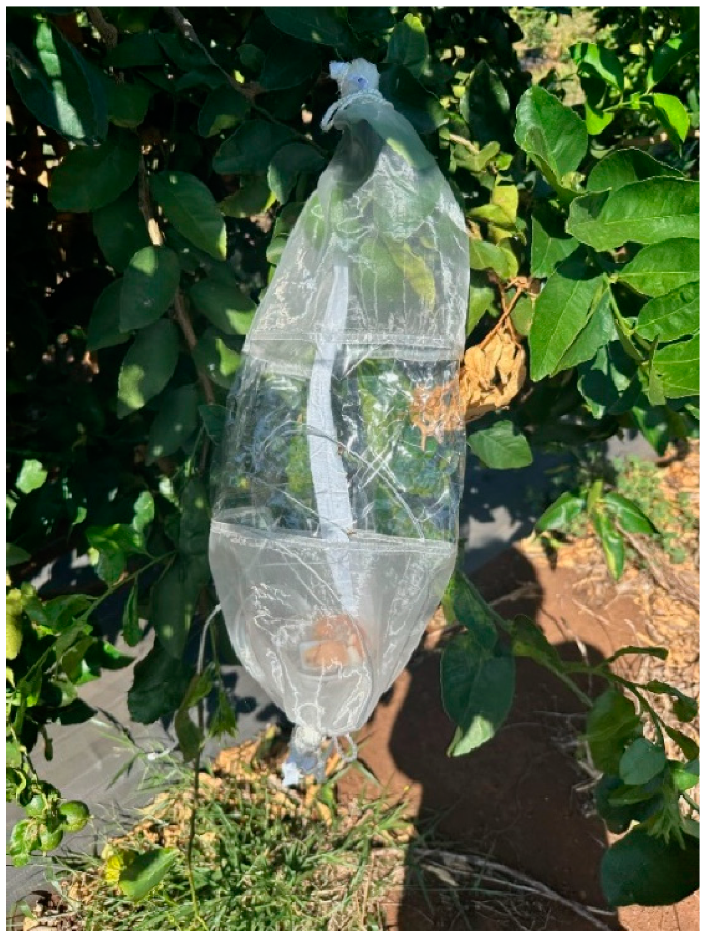 Insects 15 00799 g003 Insects 15 00799 g003