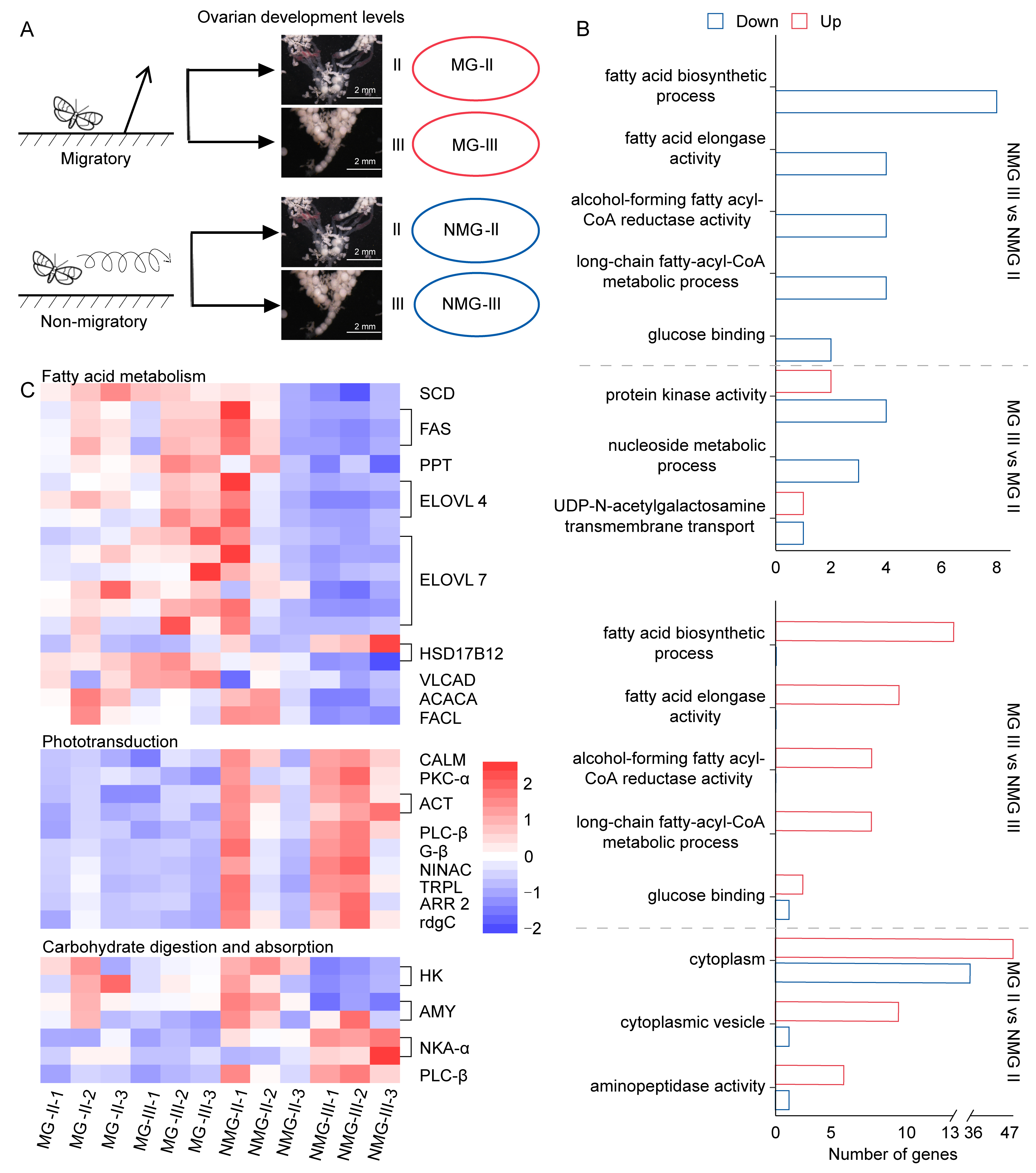Insects 15 00809 g002