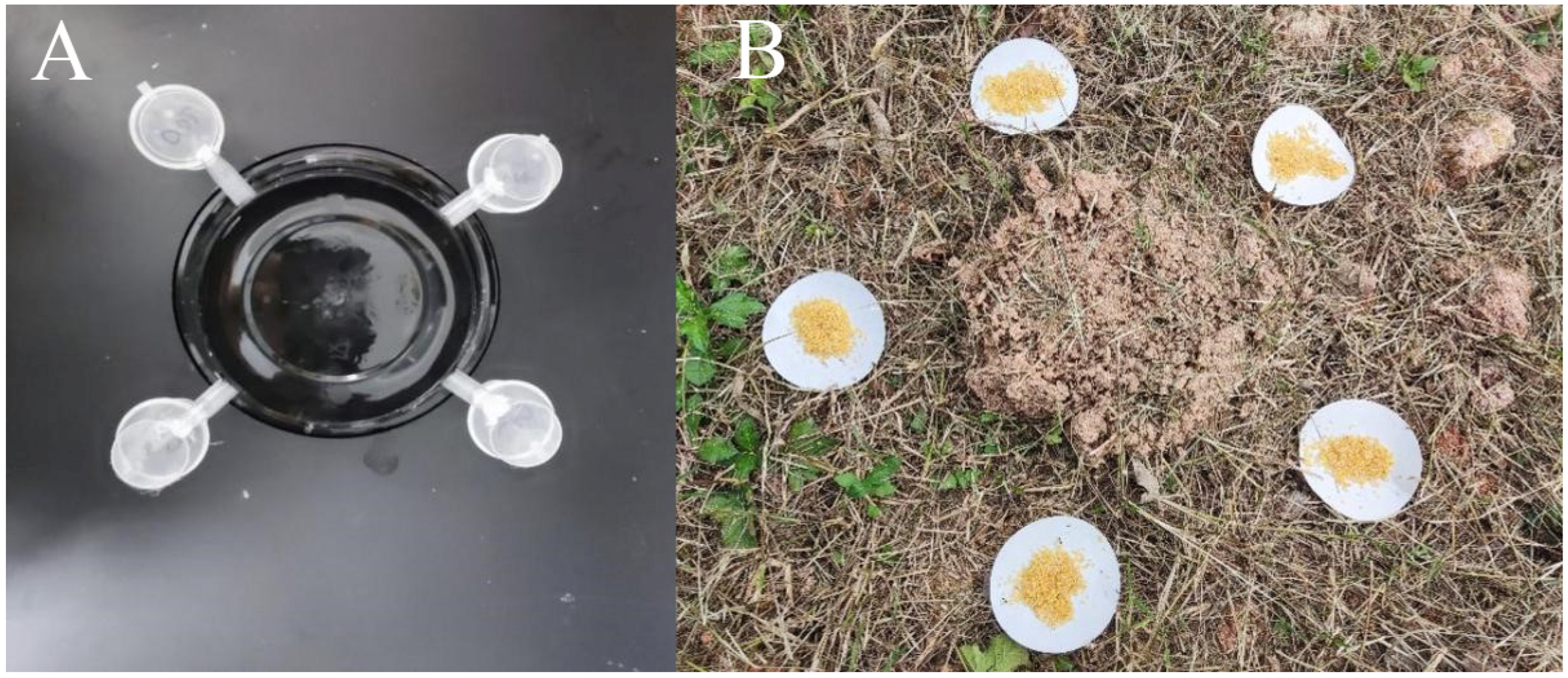 Insects 15 00813 g001 Insects 15 00813 g001