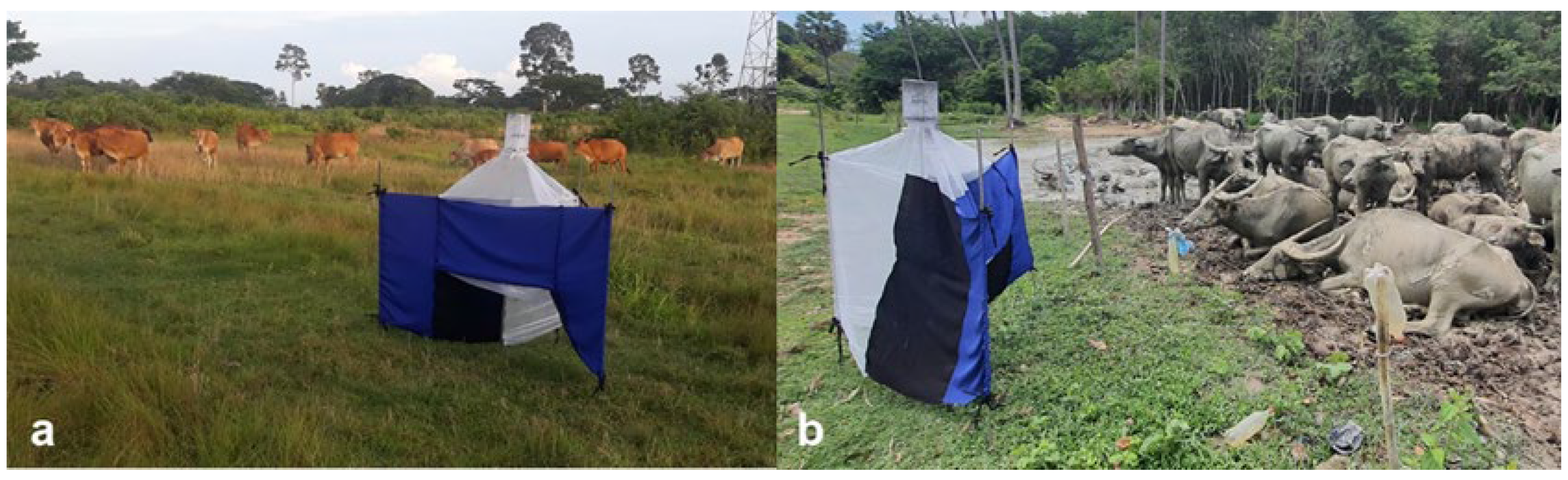 Insects 15 00818 g001