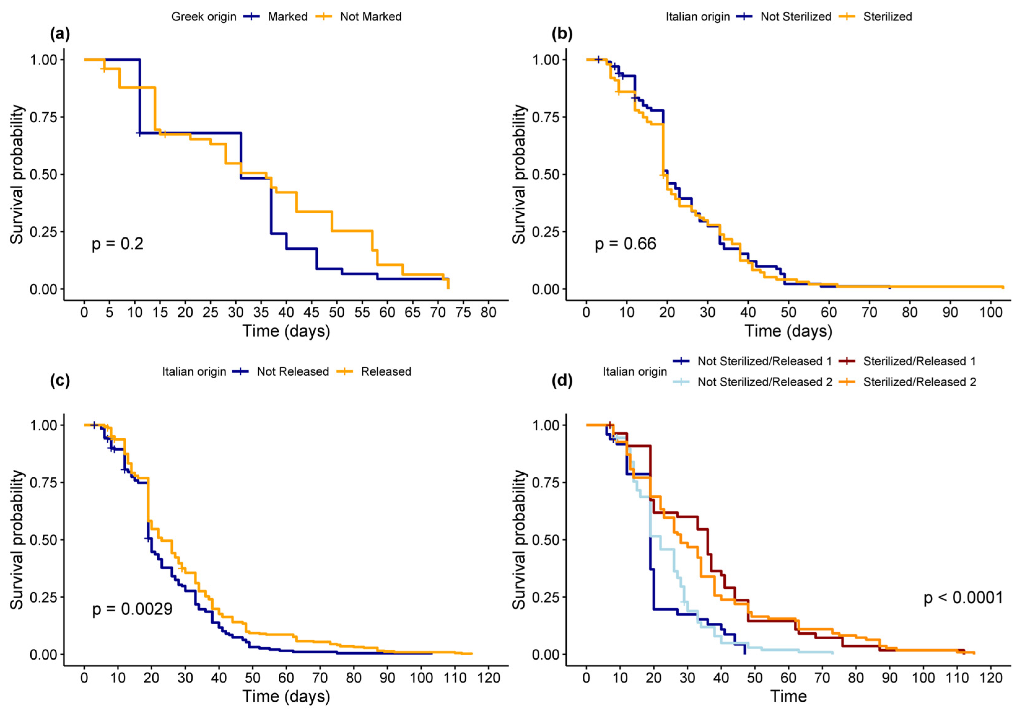 Insects 15 00826 g001