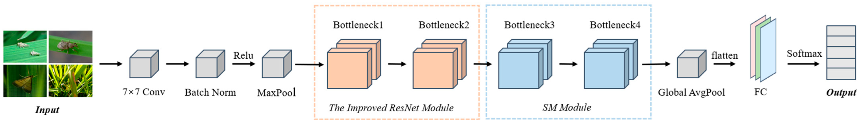 Insects 15 00827 g001