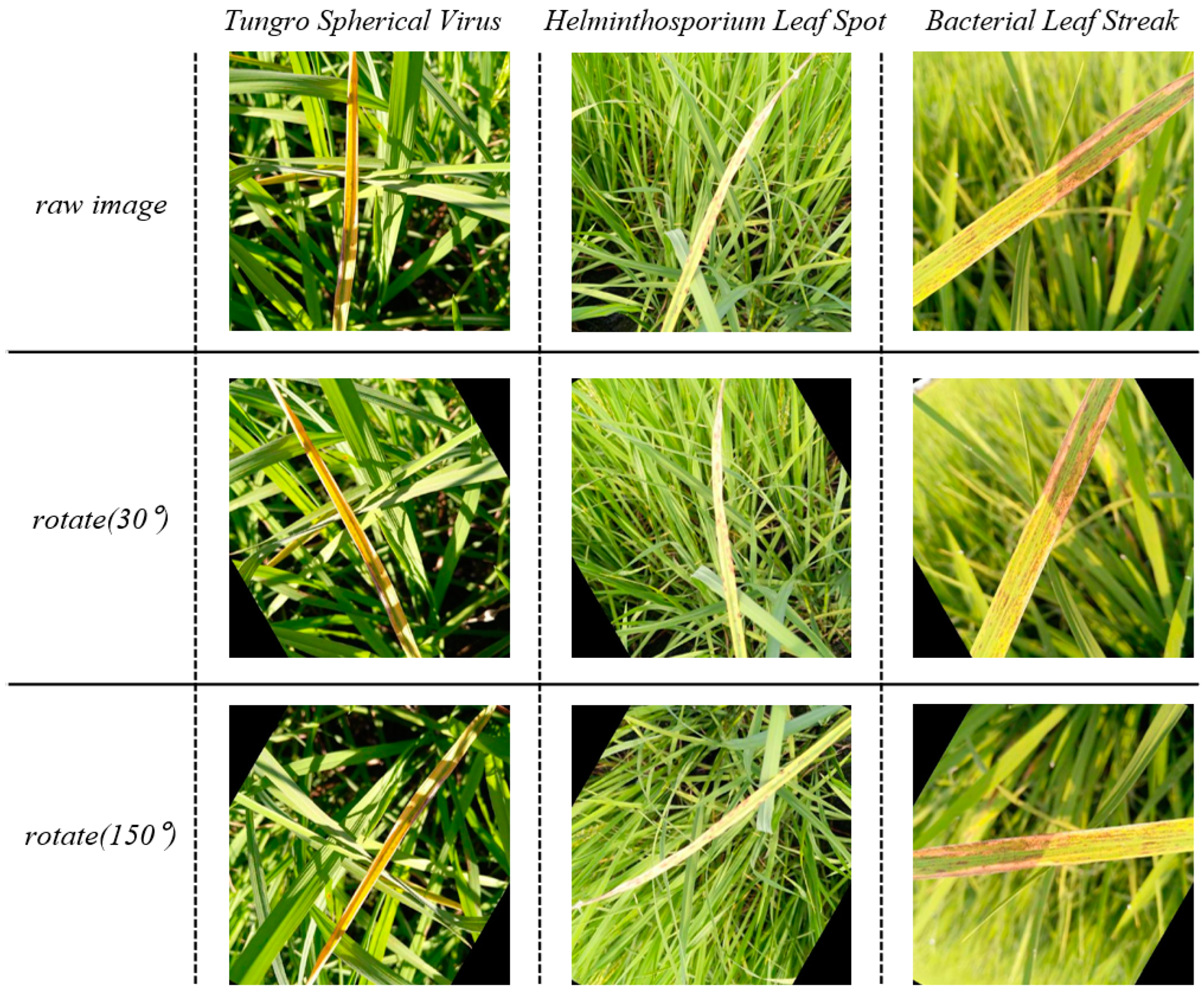 Insects 15 00827 g006