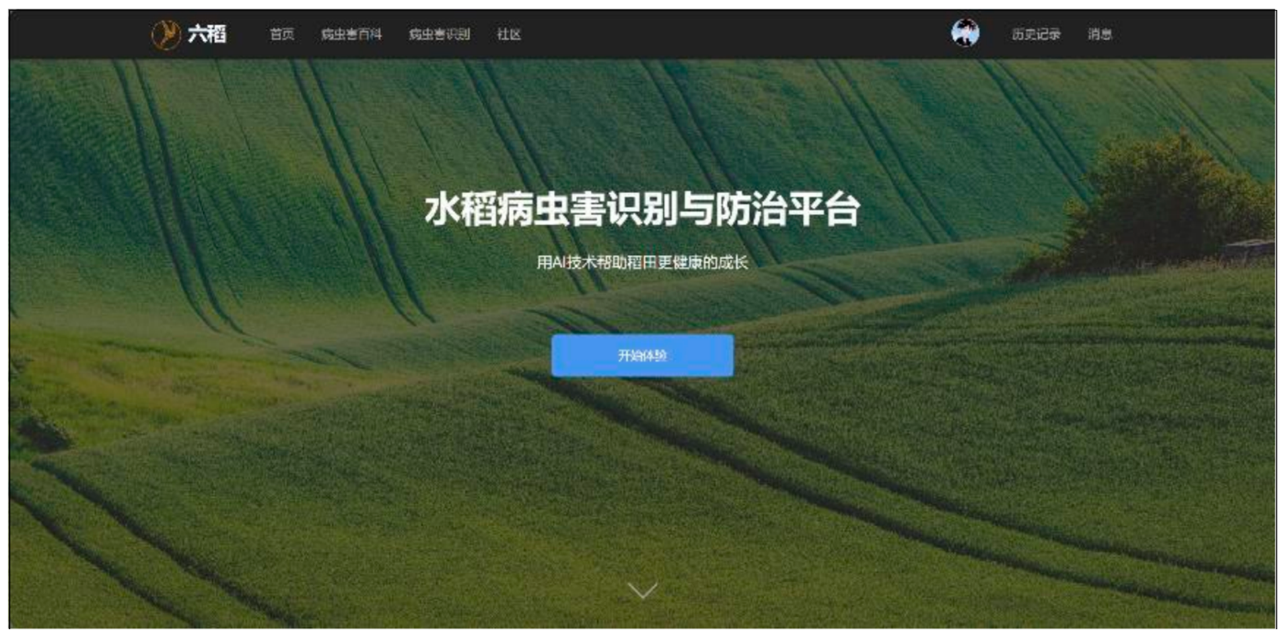 Insects 15 00827 g013