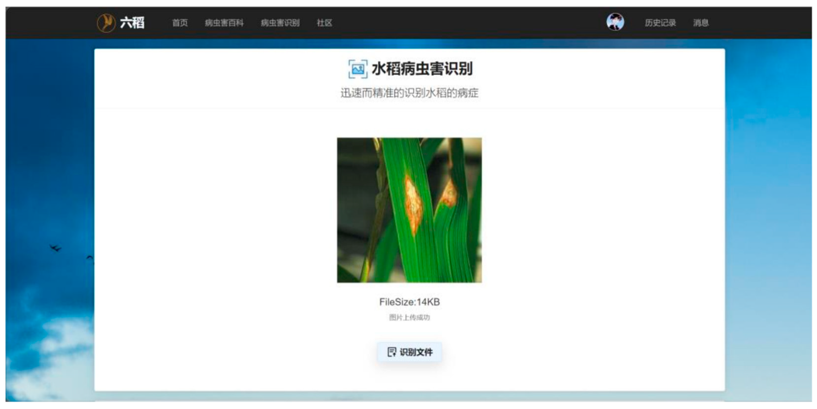 Insects 15 00827 g014