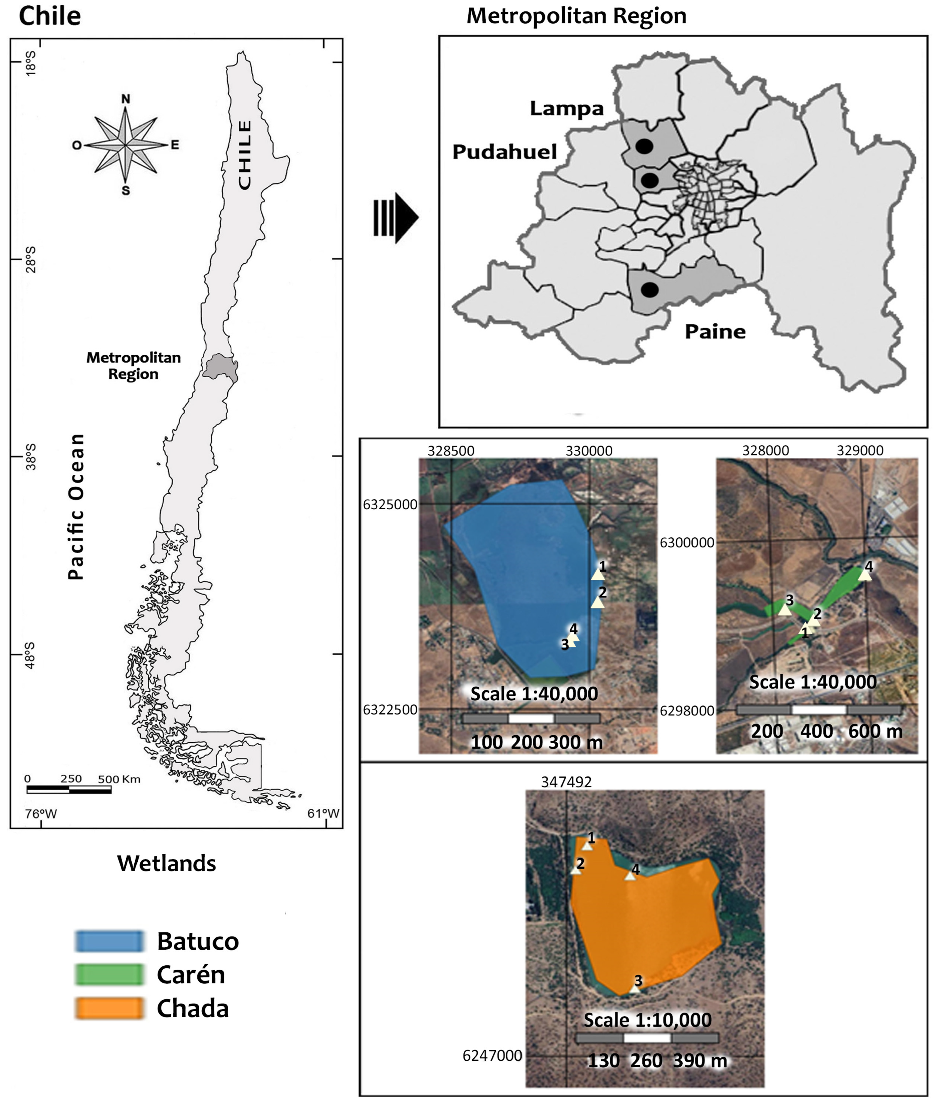 Insects 15 00831 g001