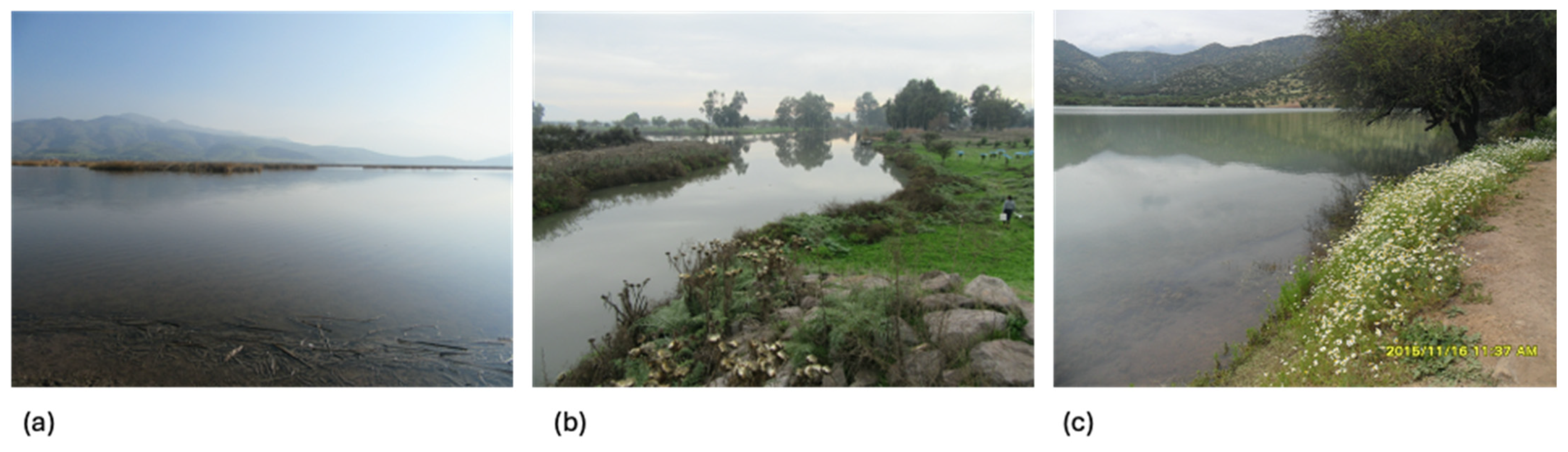 Insects 15 00831 g002