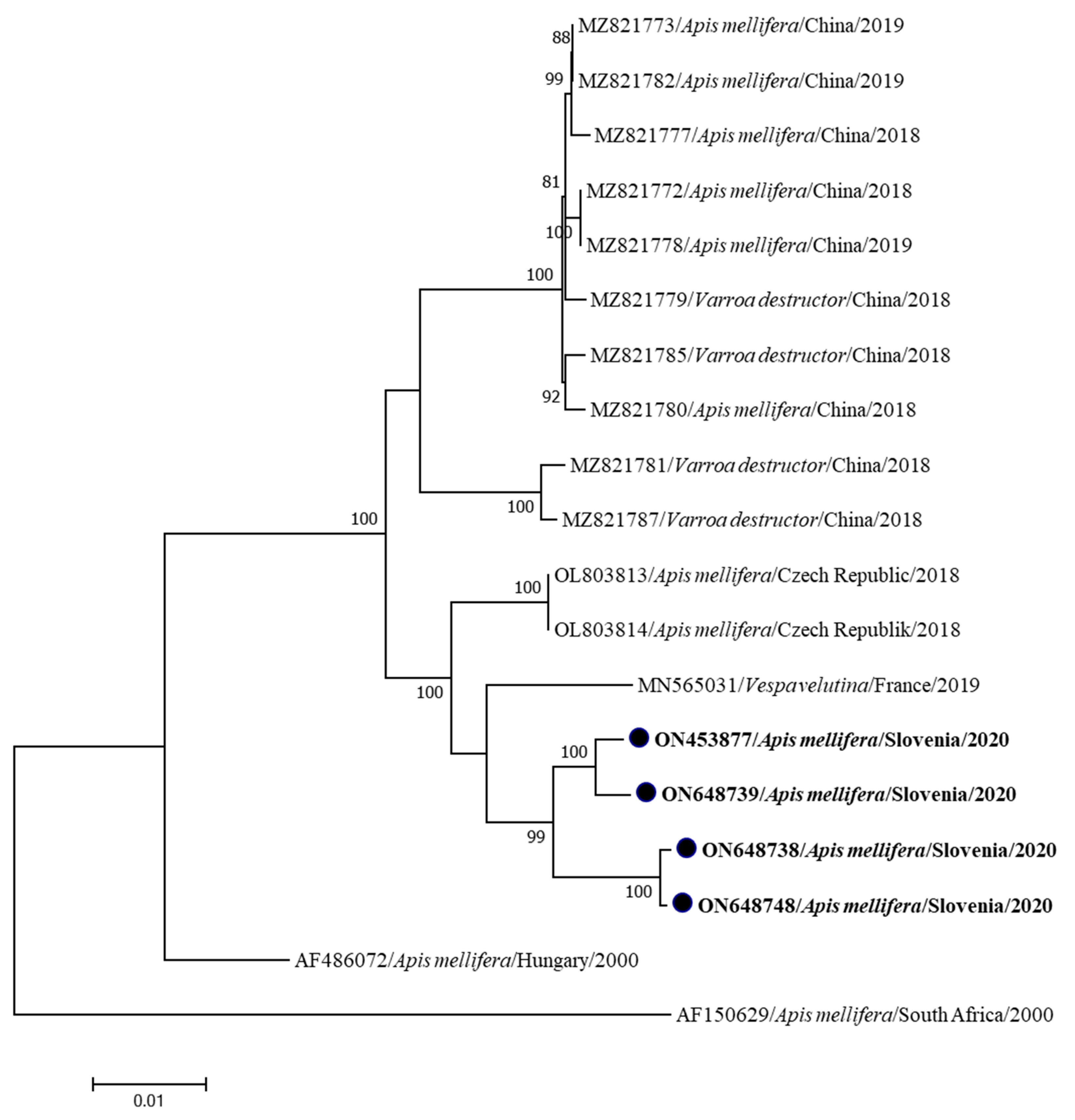 Insects 15 00832 g002