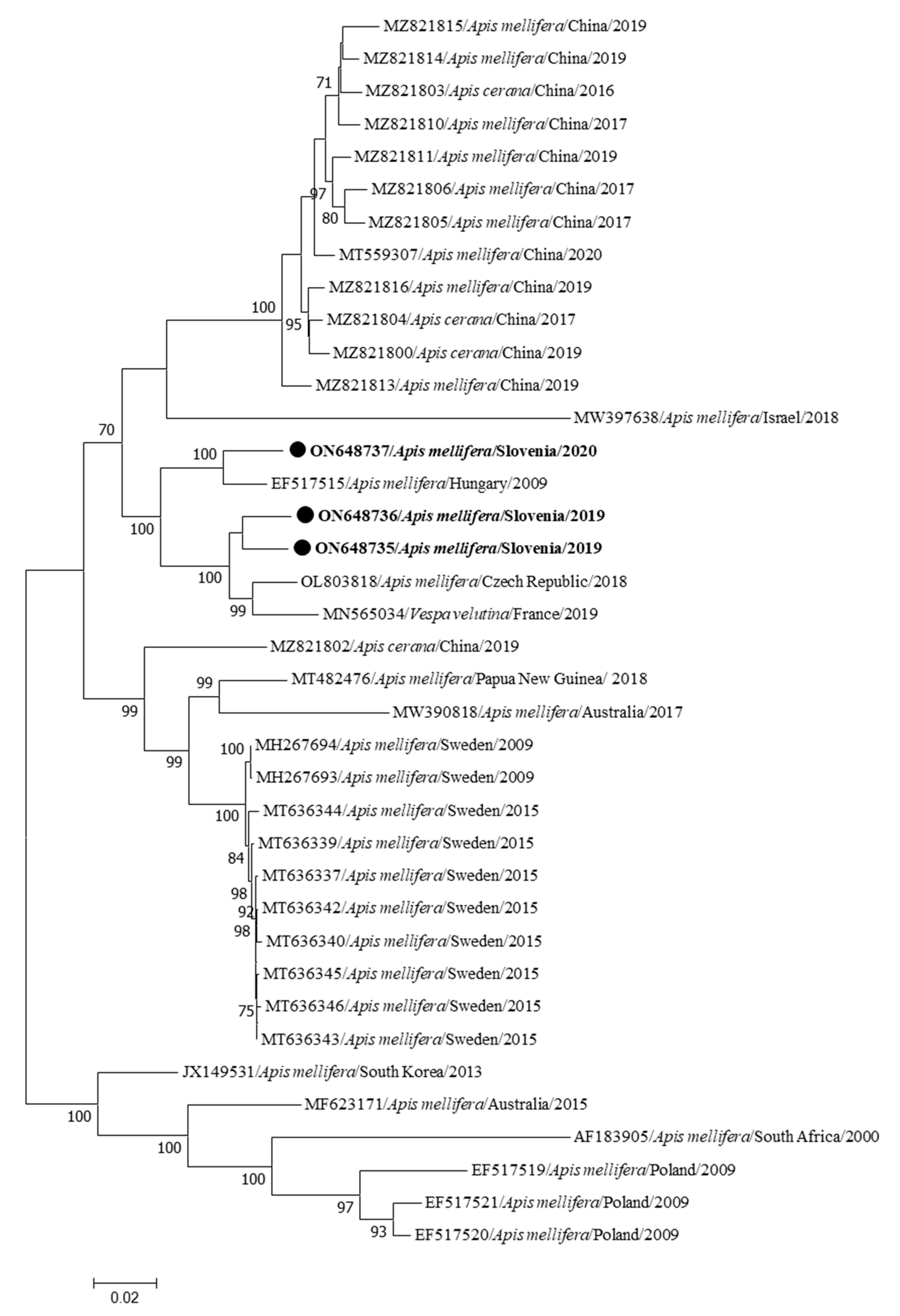 Insects 15 00832 g003
