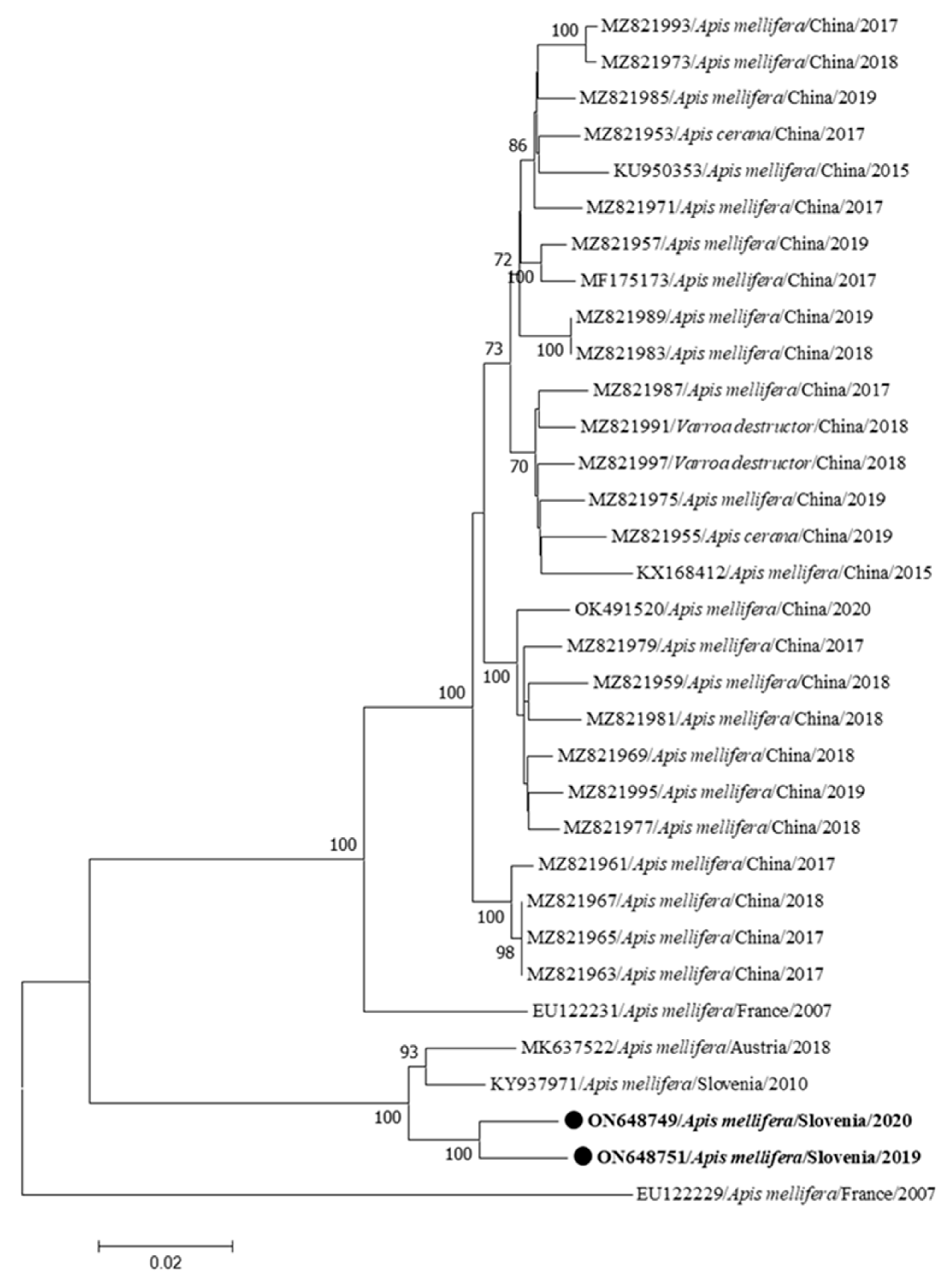 Insects 15 00832 g004