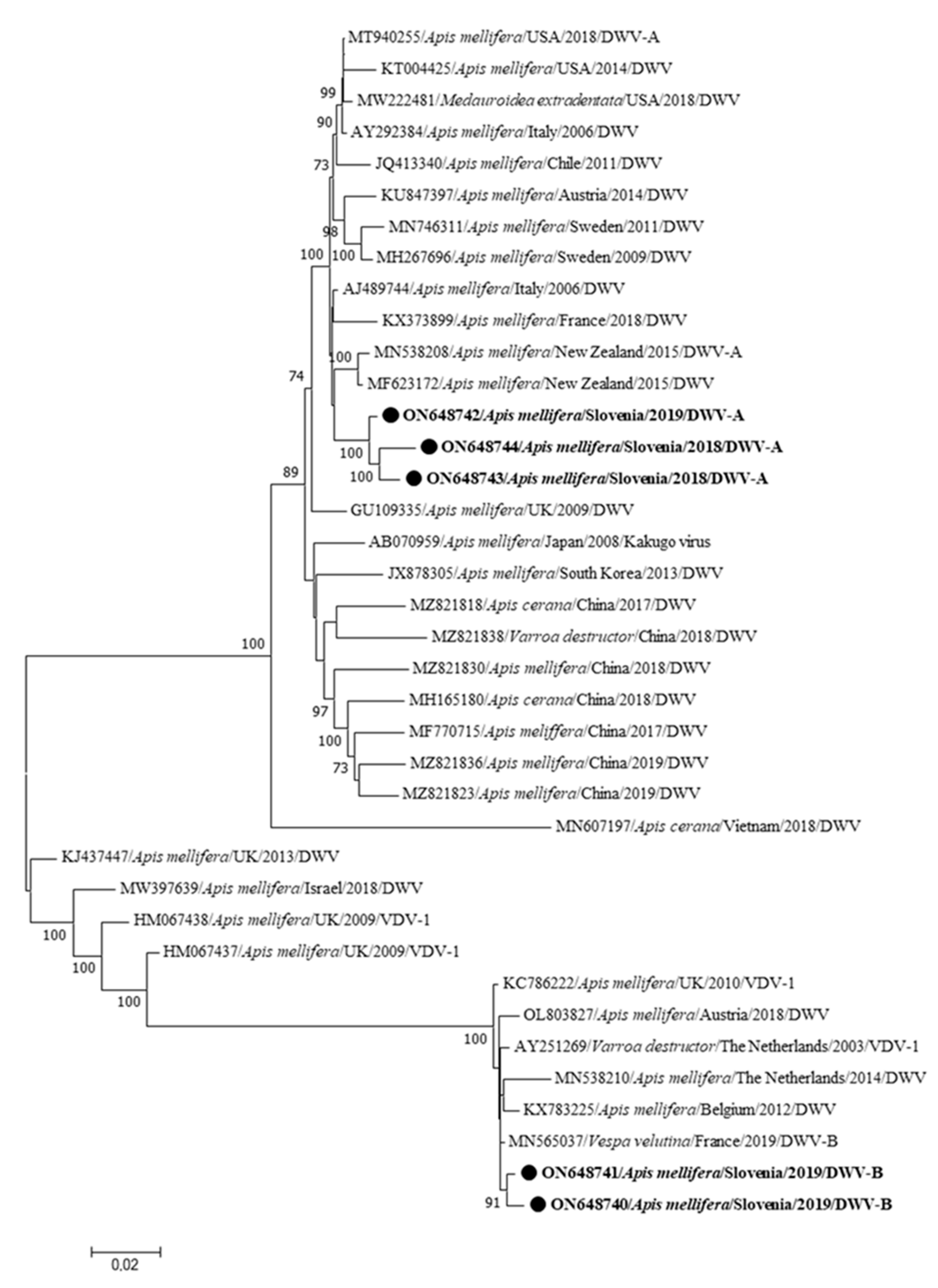 Insects 15 00832 g006