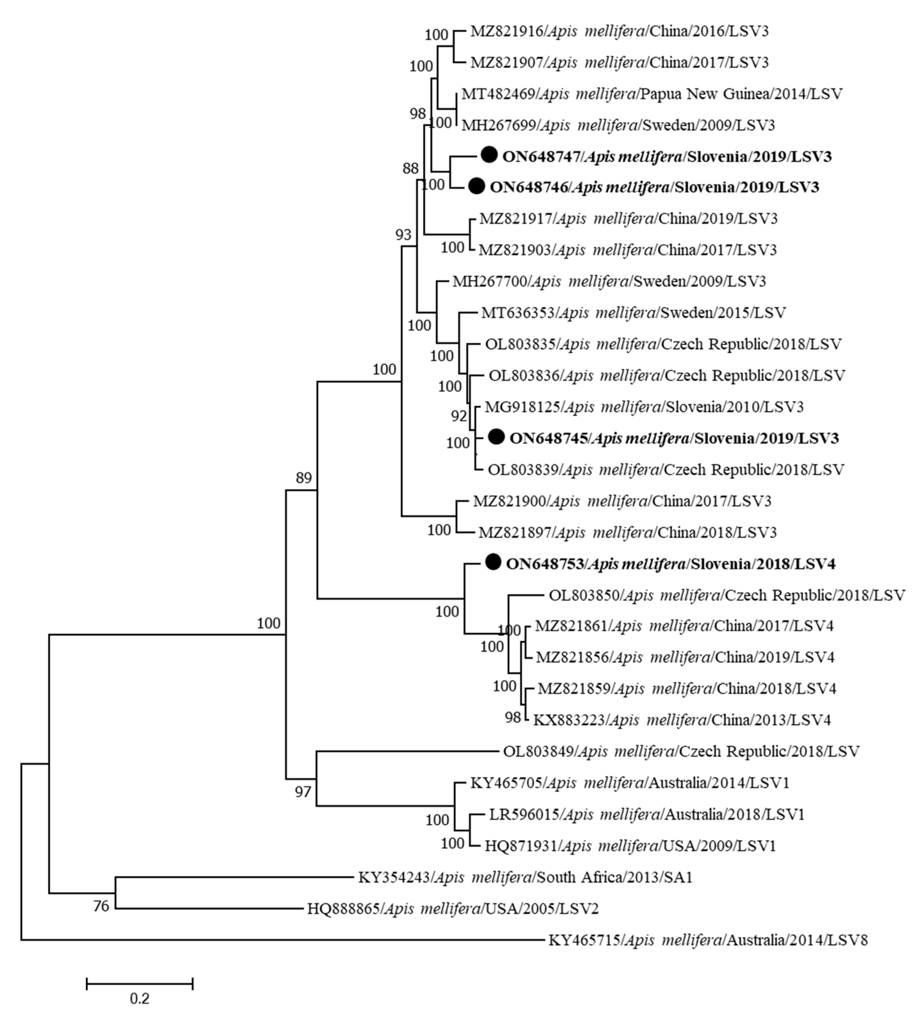 Insects 15 00832 g007