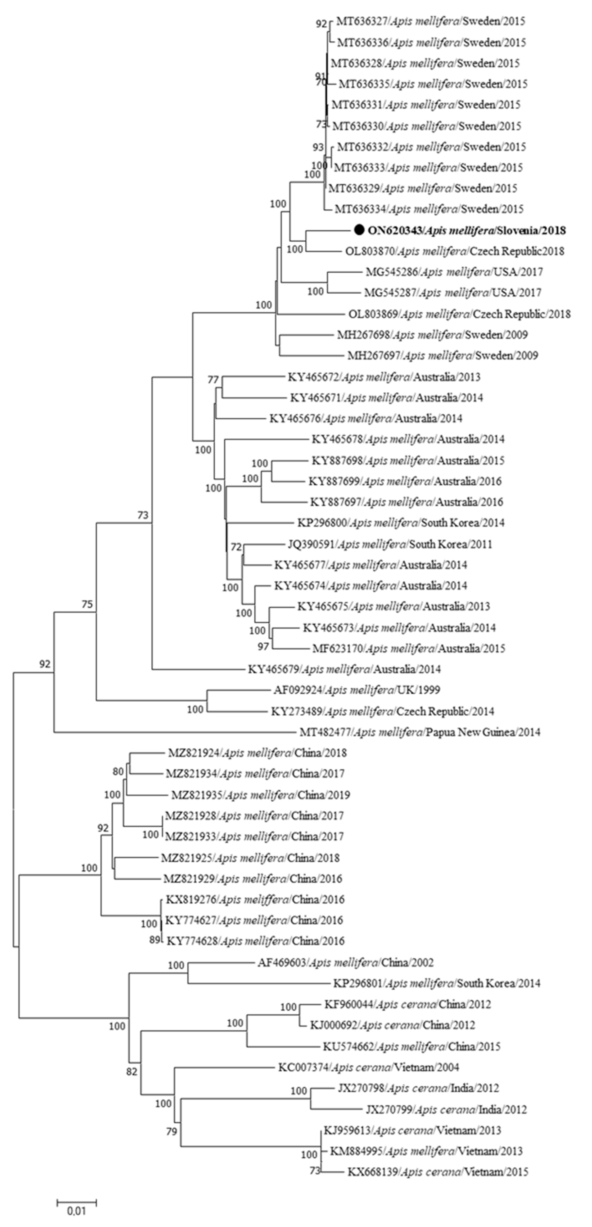 Insects 15 00832 g008