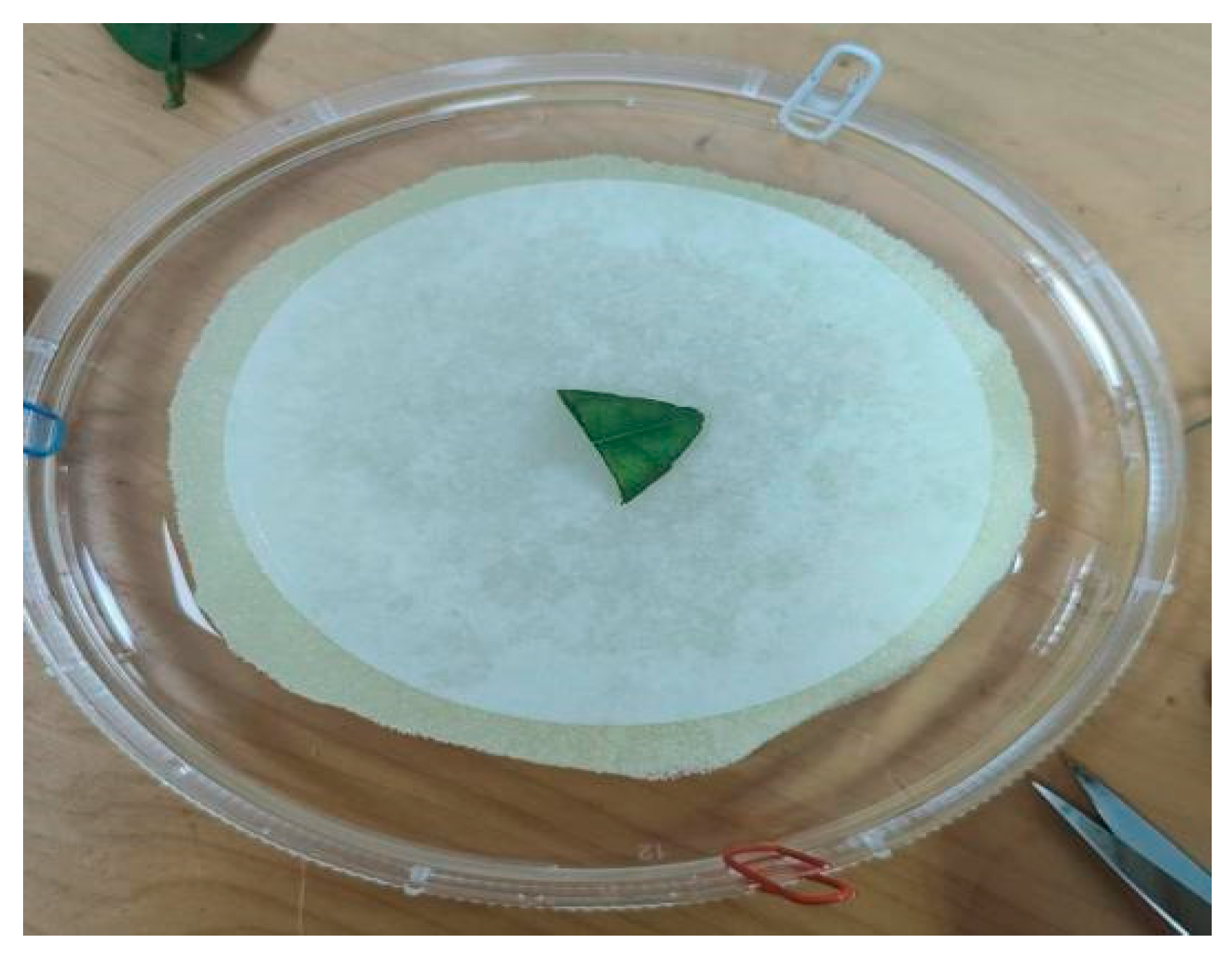 Insects 15 00837 g002 Insects 15 00837 g002