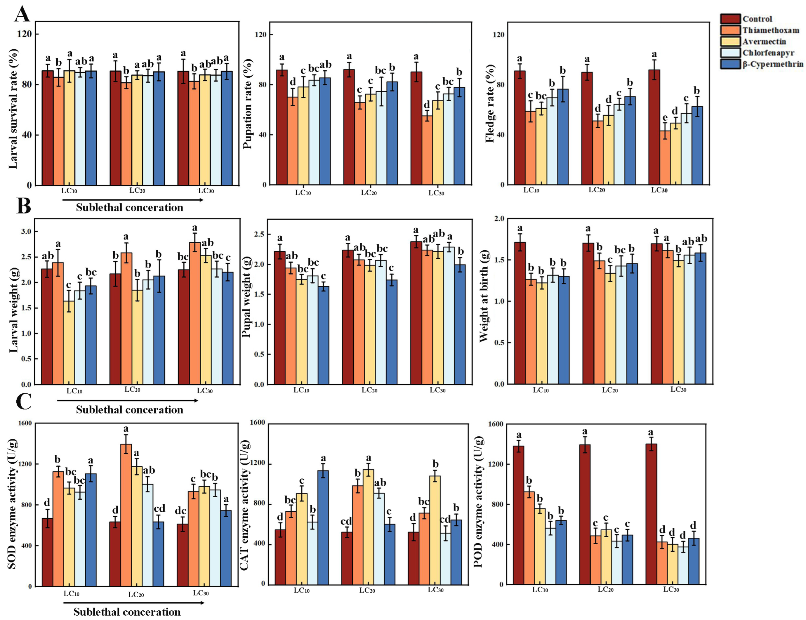 Impact of Sublethal Insecticides Exposure on Vespa magnifica