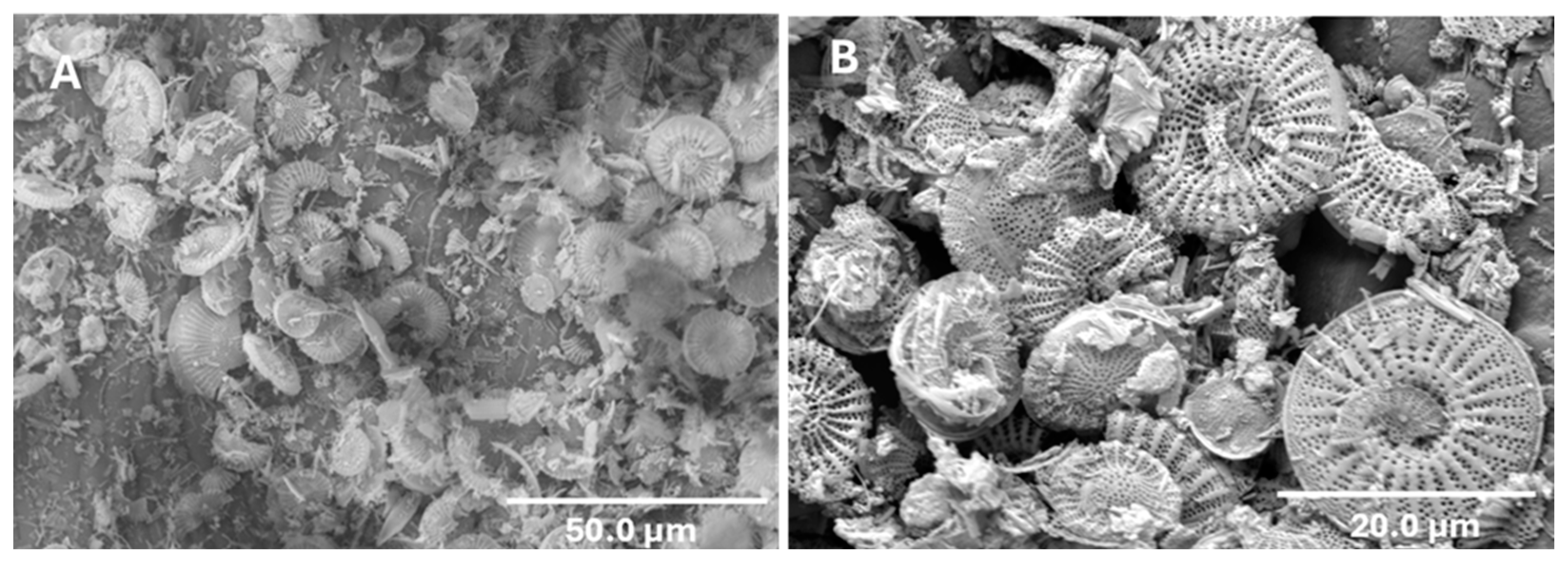 Insects 15 00844 g001 Insects 15 00844 g001