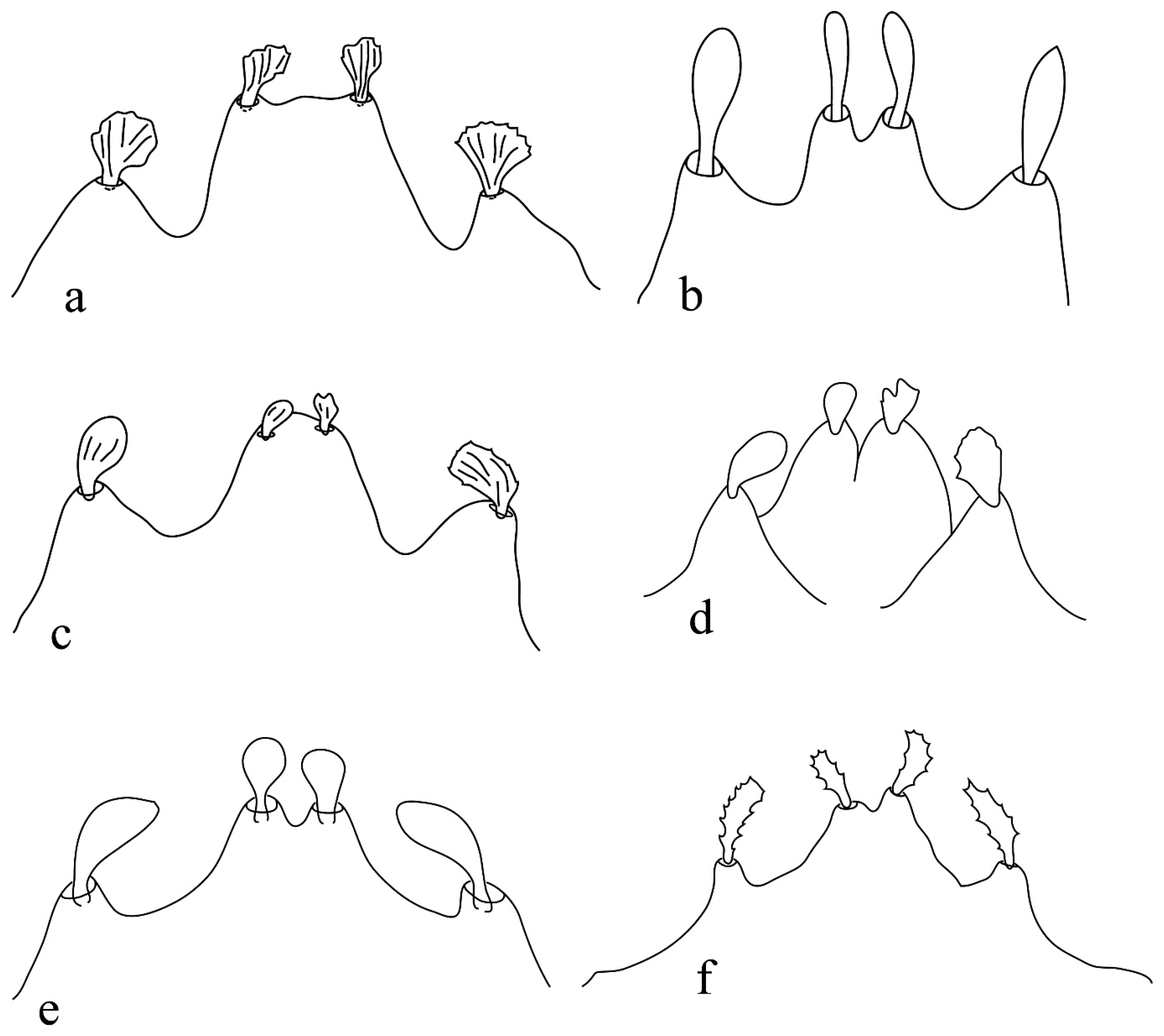 Insects 15 00859 g001