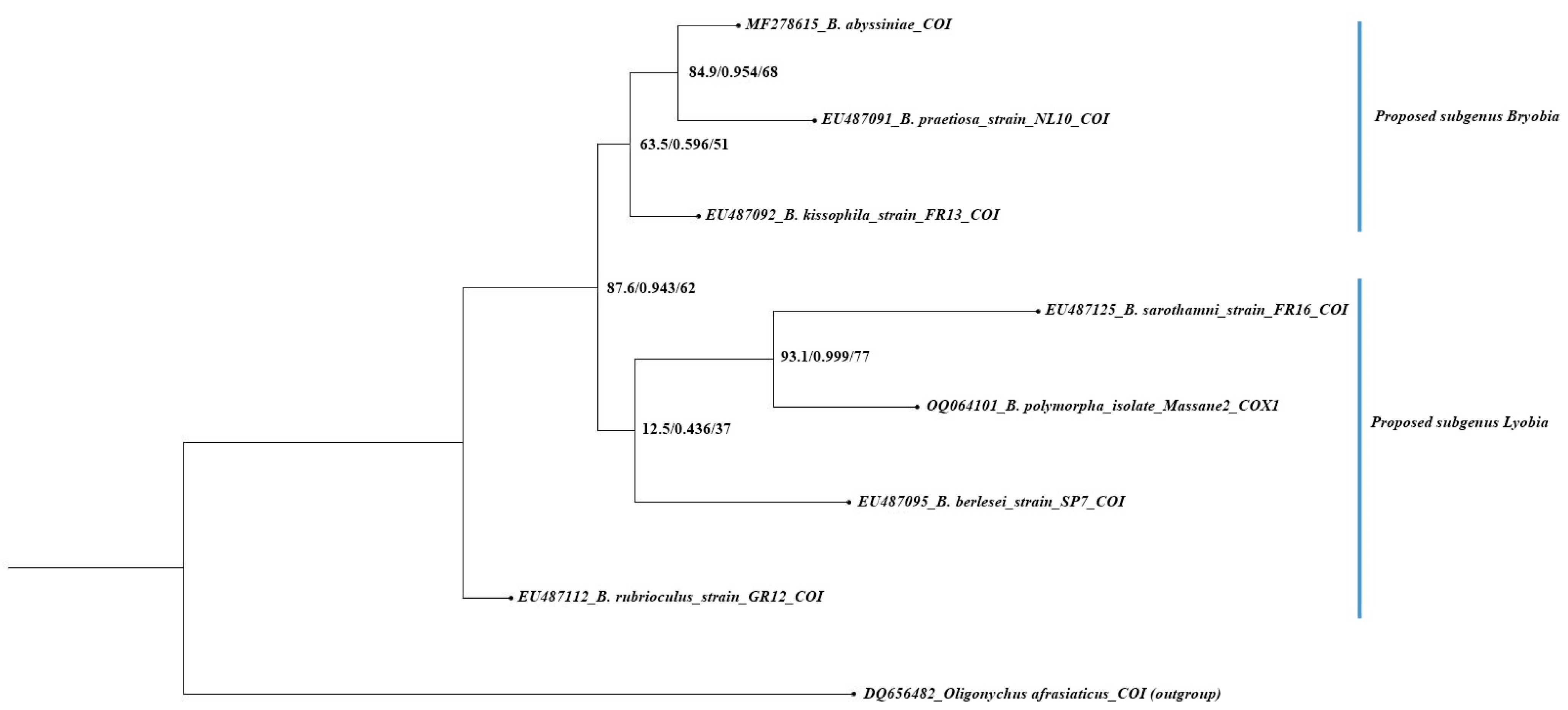 Insects 15 00859 g005
