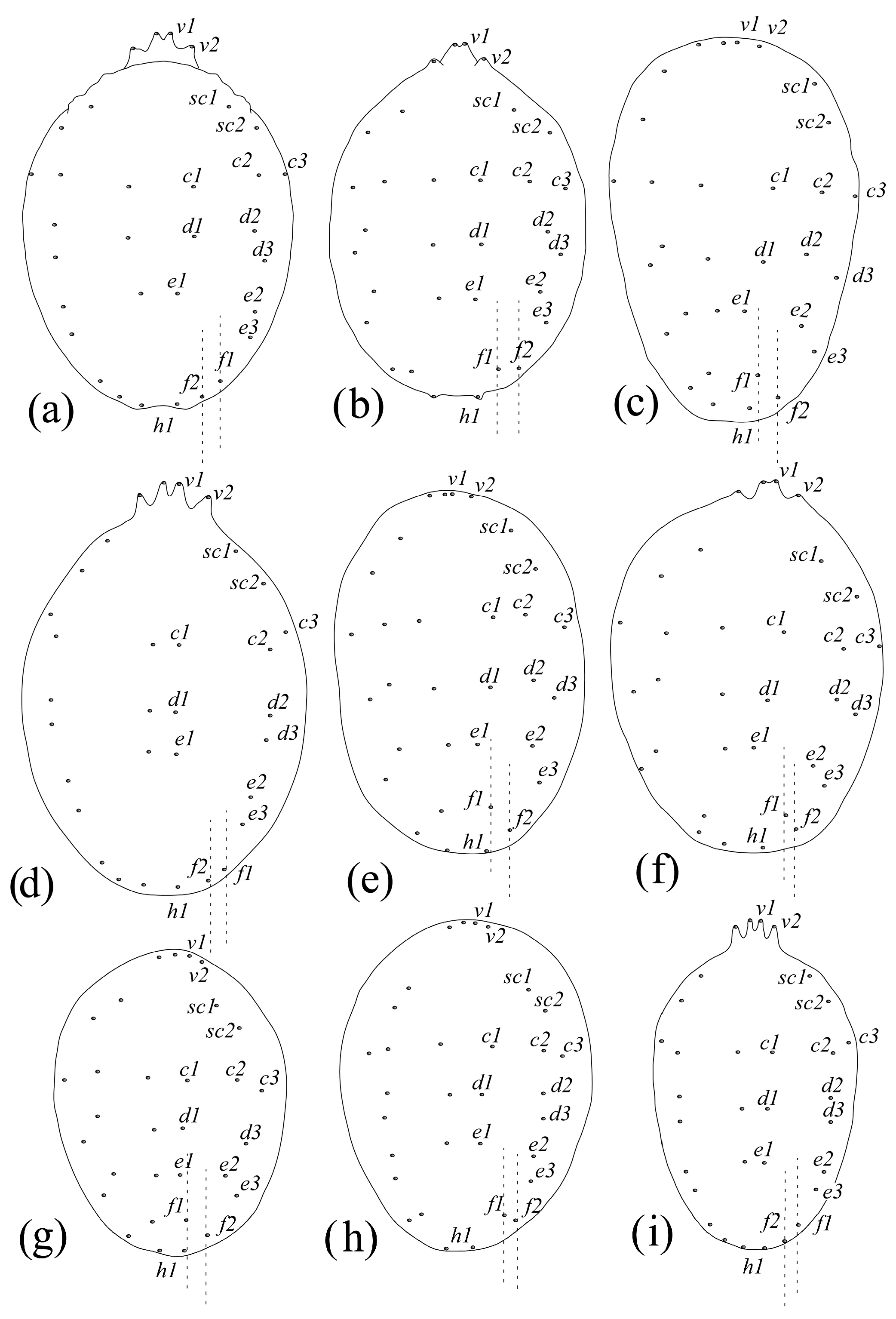 Insects 15 00859 g006