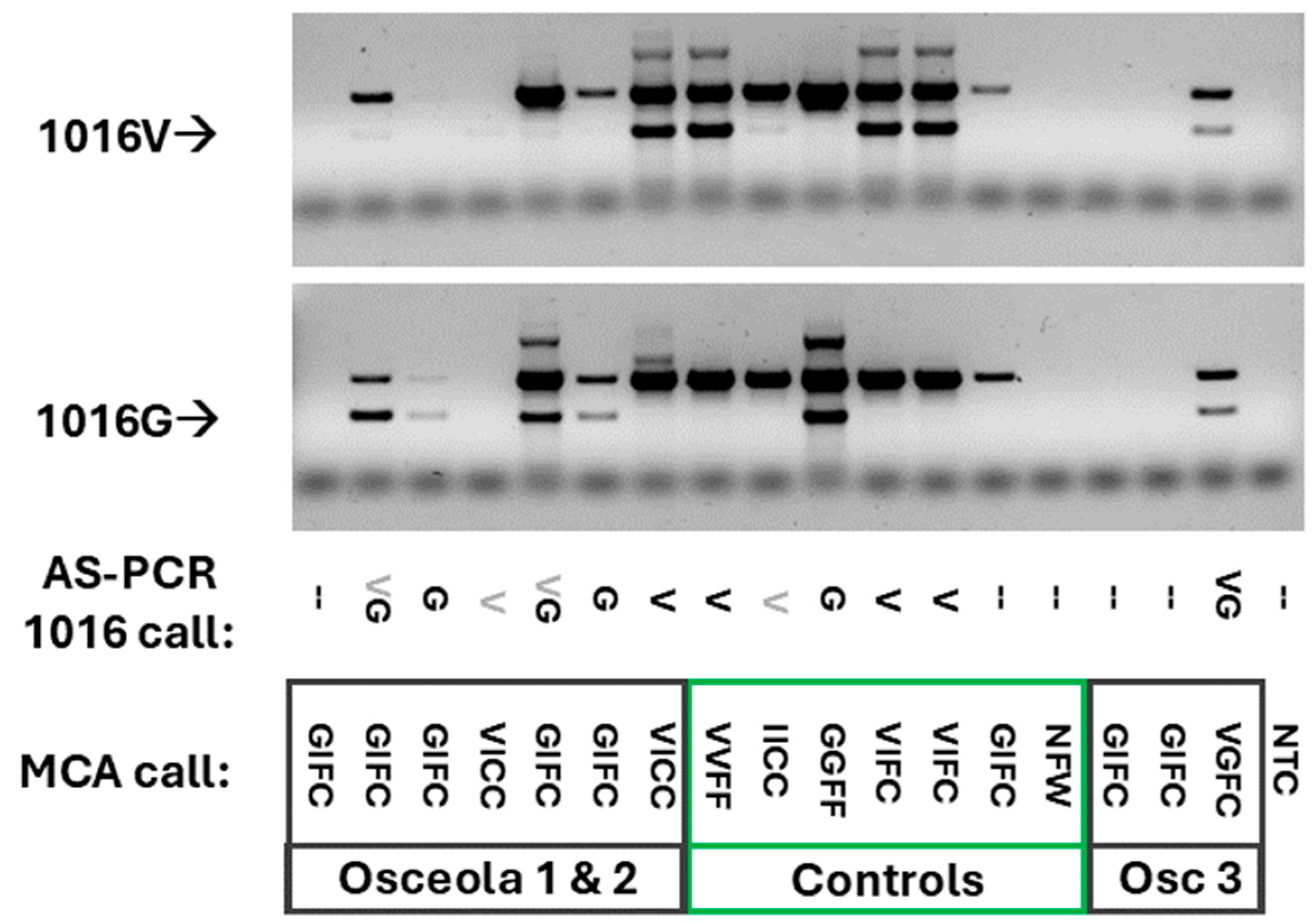 Insects 15 00863 g003