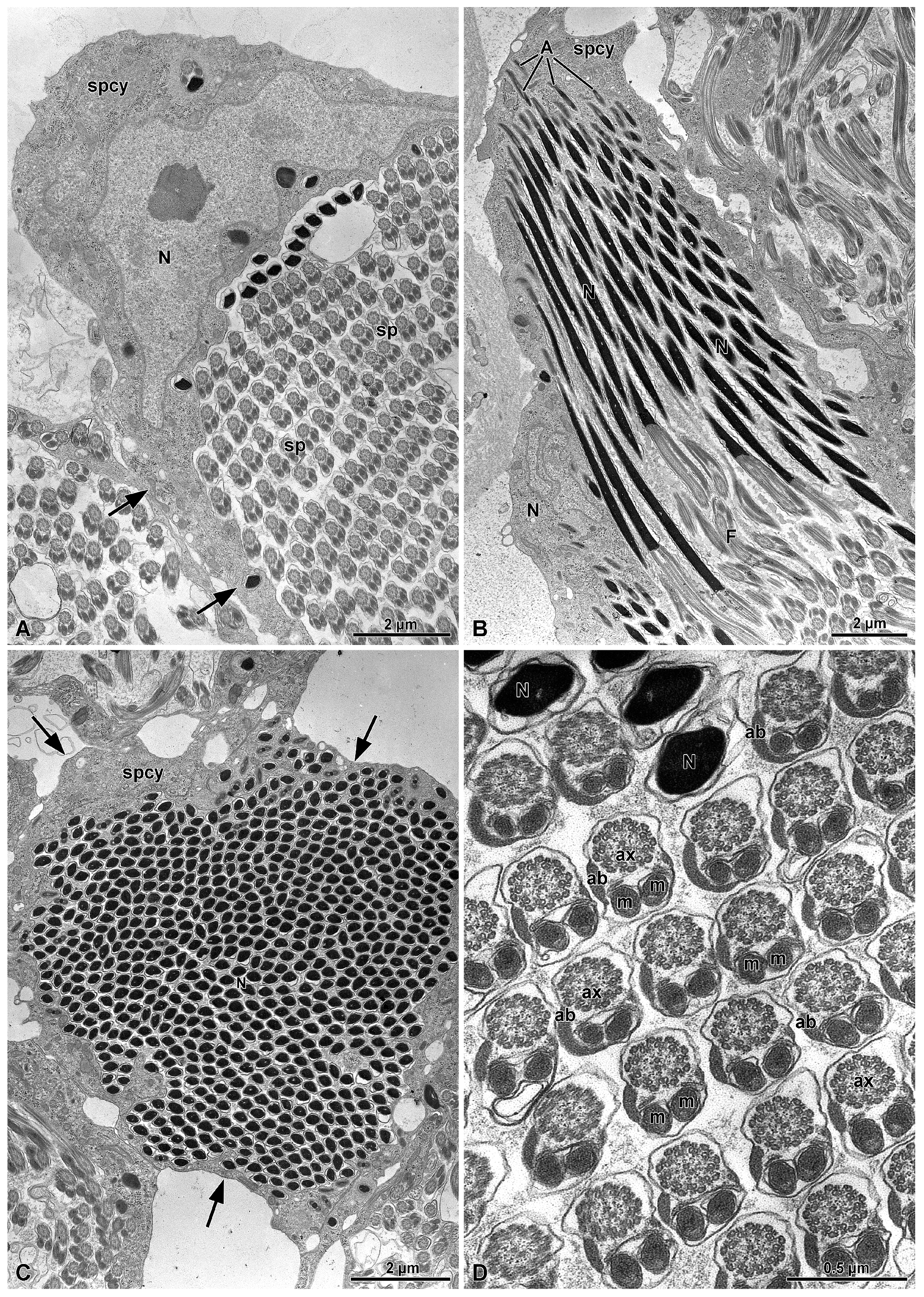 Insects 15 00864 g004 Insects 15 00864 g004