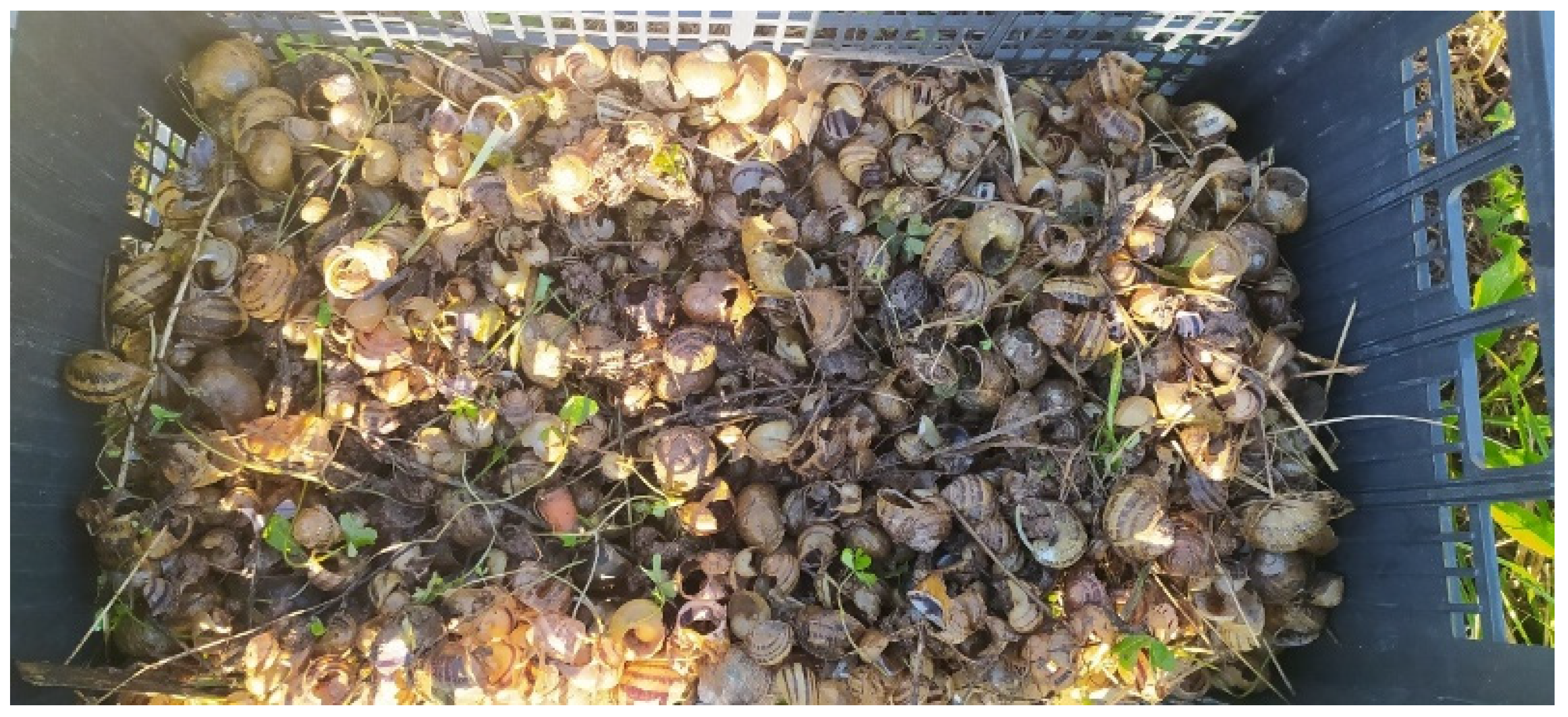 Insects 15 00865 g001 Insects 15 00865 g001