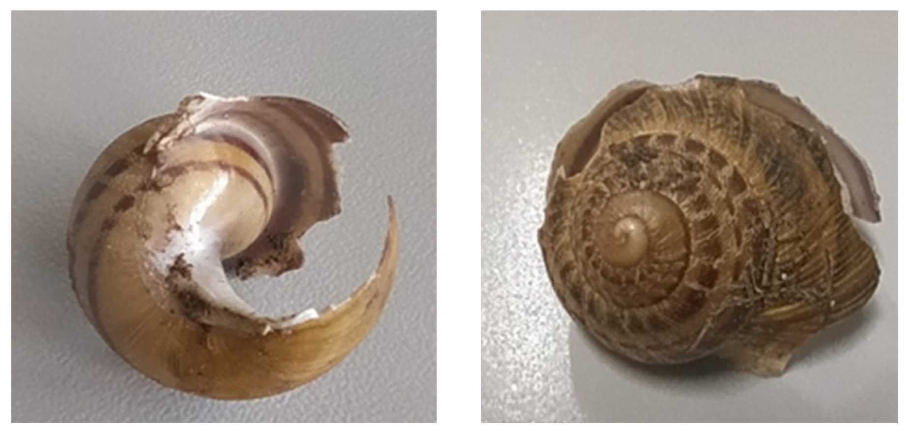 Insects 15 00865 g004 Insects 15 00865 g004