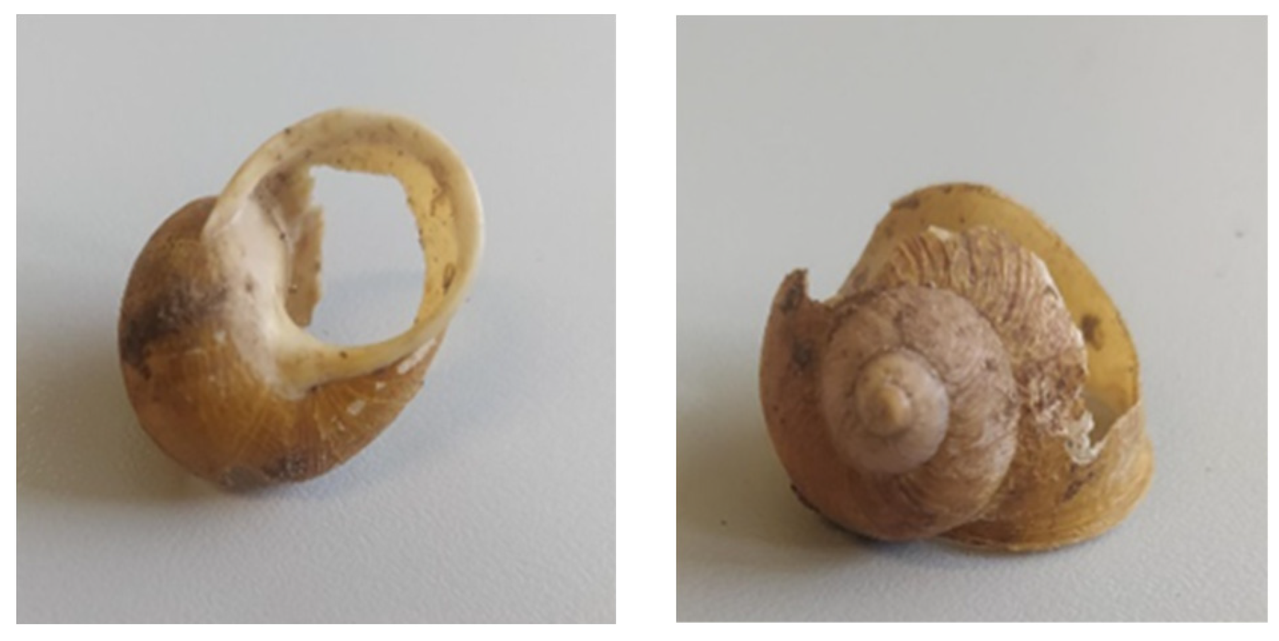 Insects 15 00865 g005 Insects 15 00865 g005