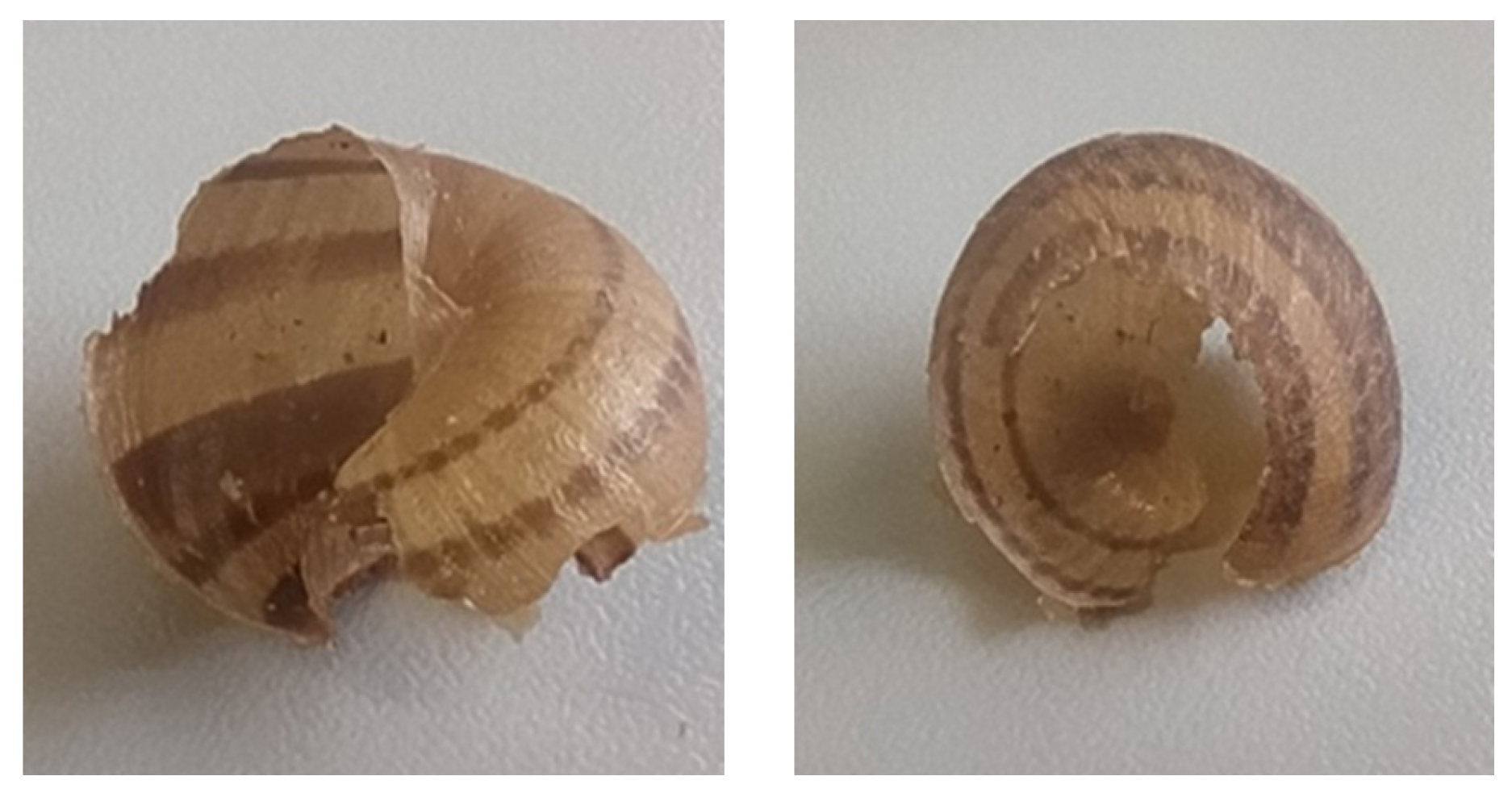 Insects 15 00865 g006 Insects 15 00865 g006