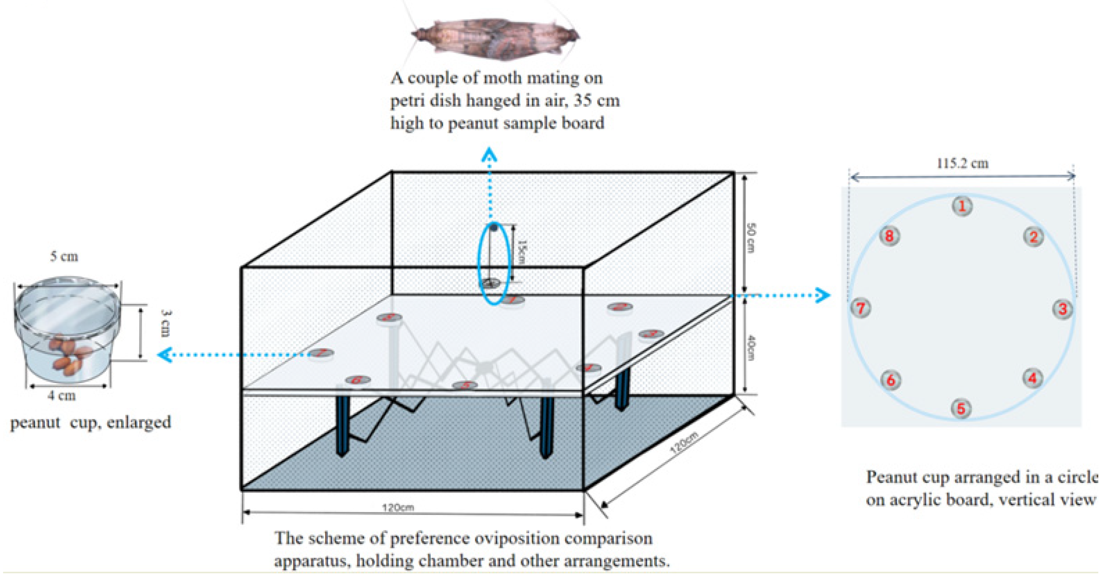 Insects 15 00866 g001