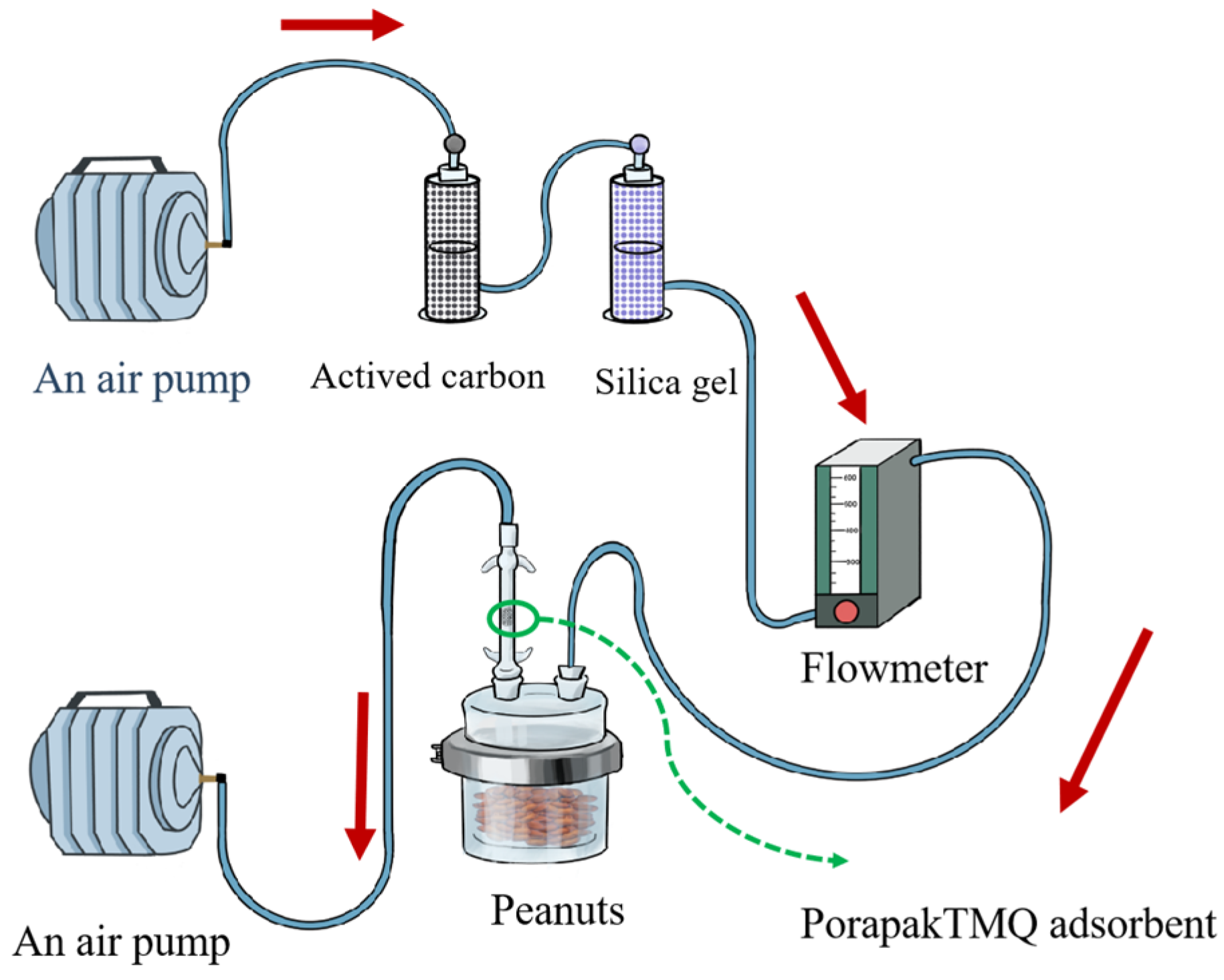 Insects 15 00866 g002