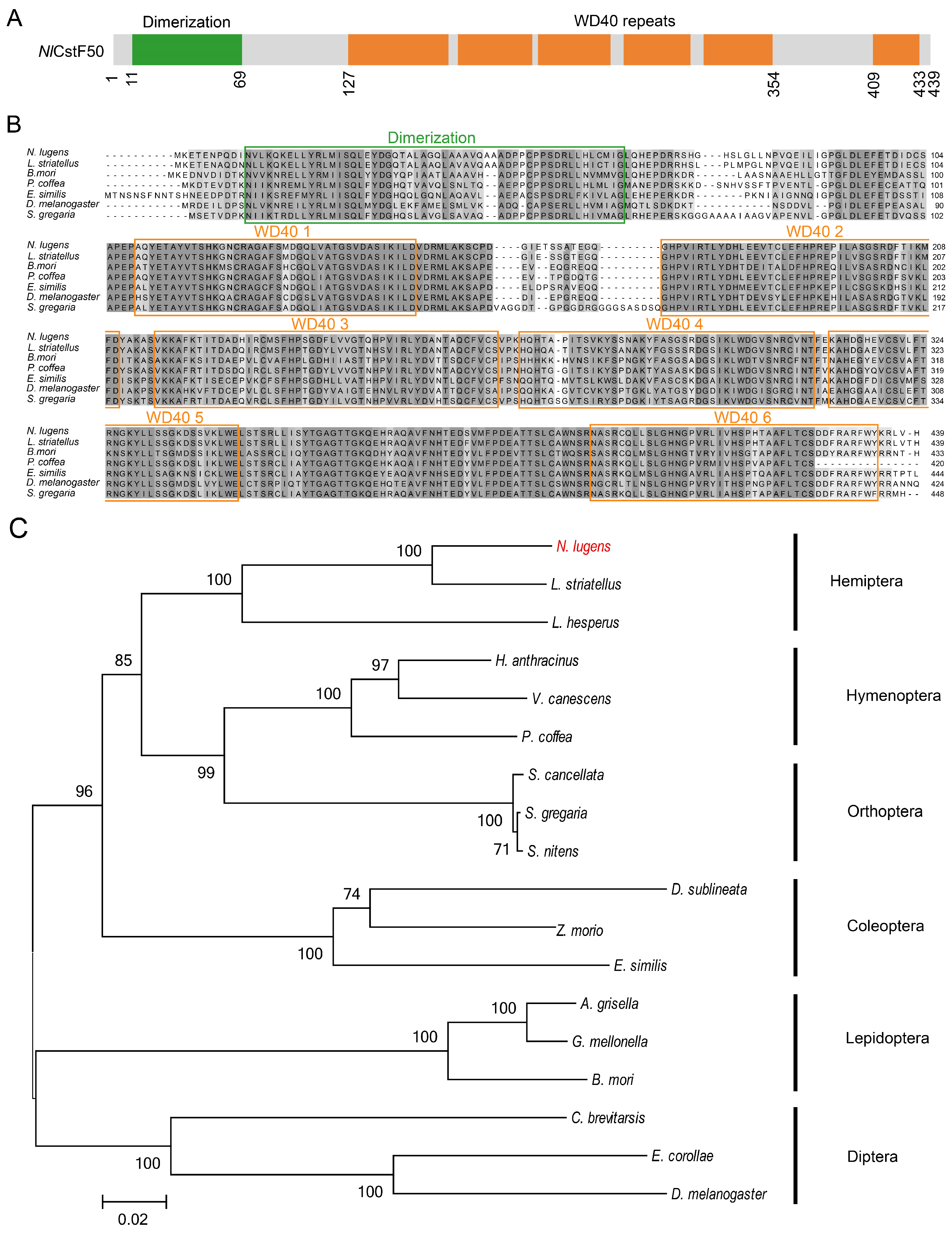 Insects 15 00867 g001 Insects 15 00867 g001