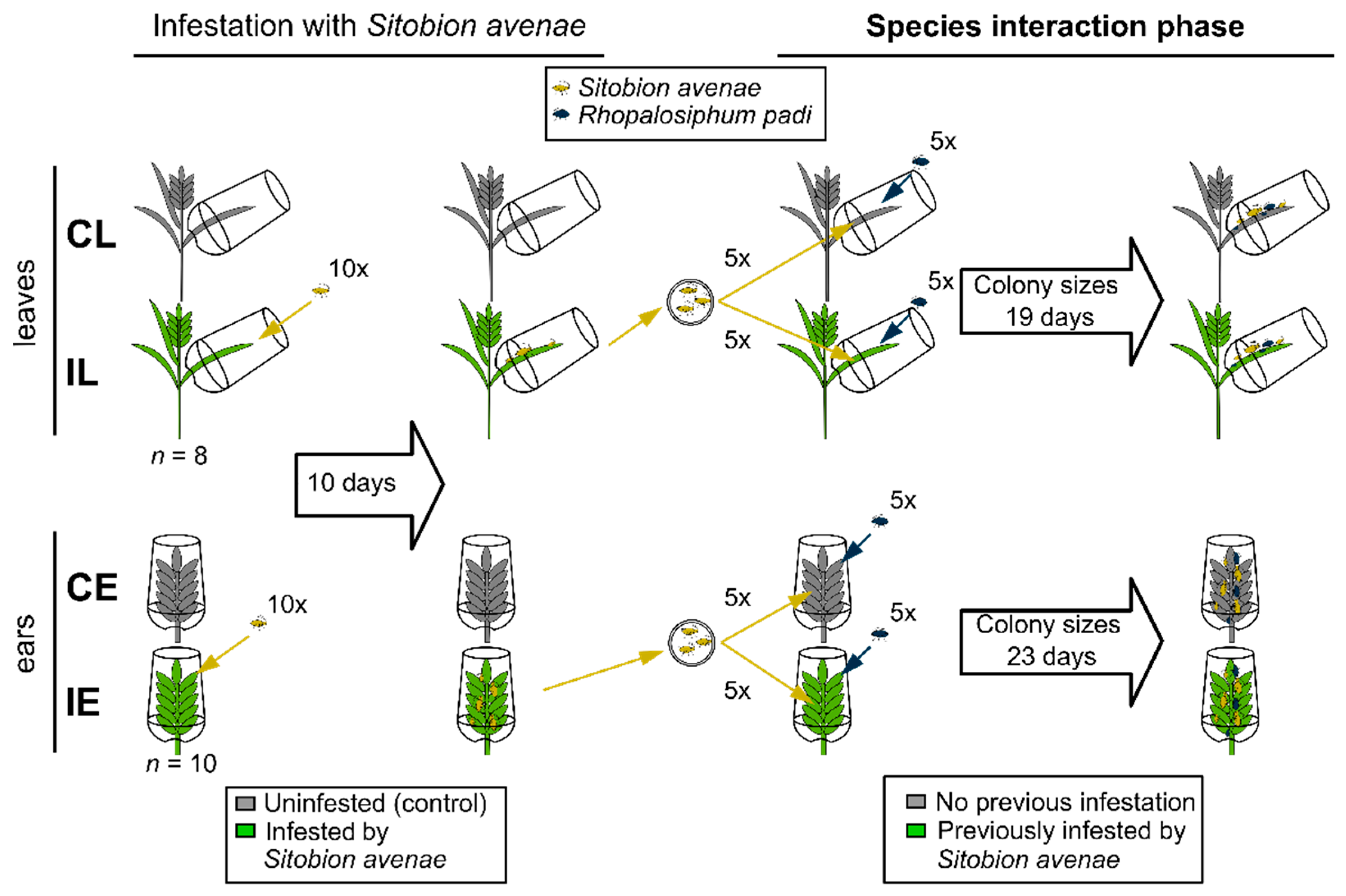 Insects 15 00871 g001