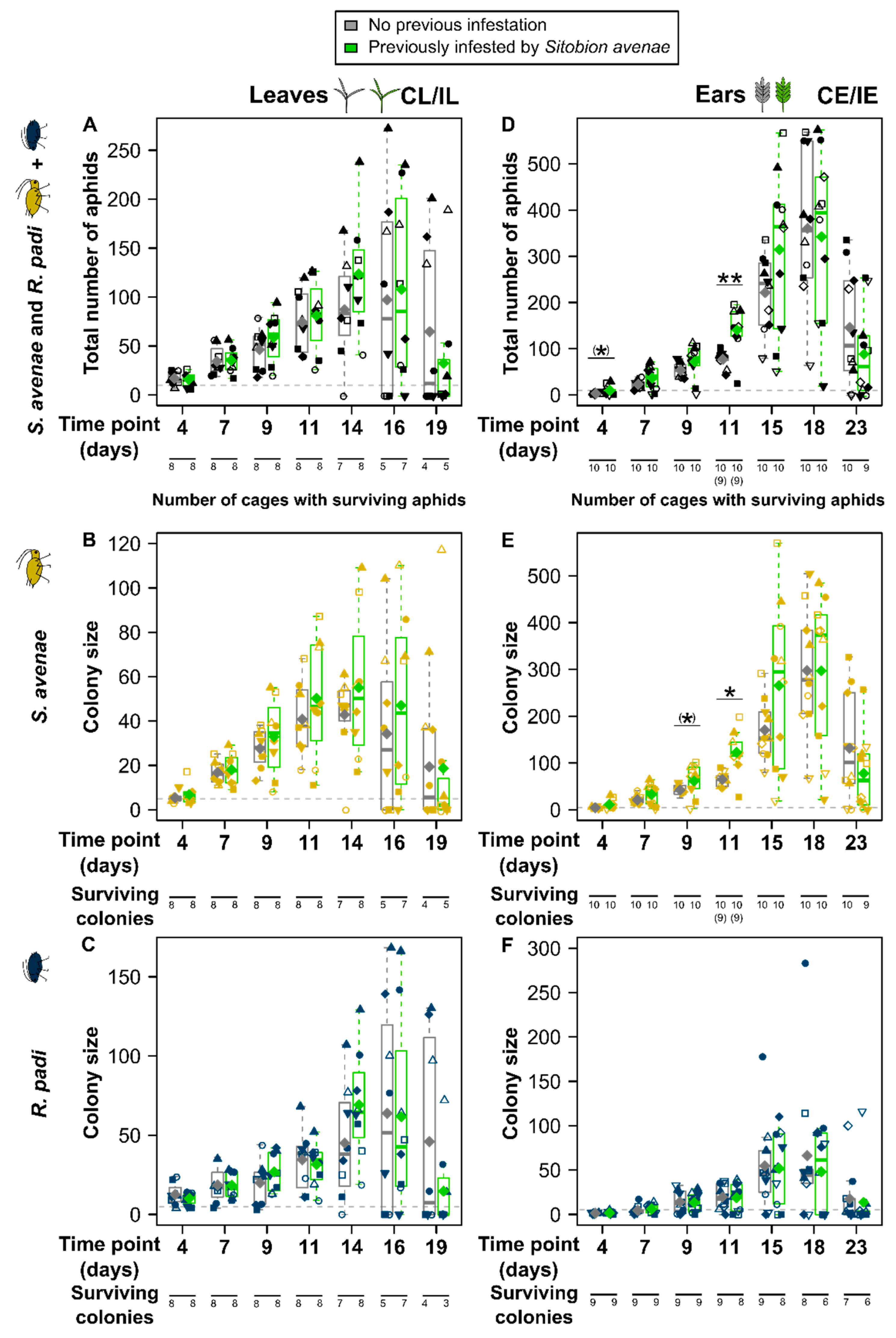 Insects 15 00871 g002